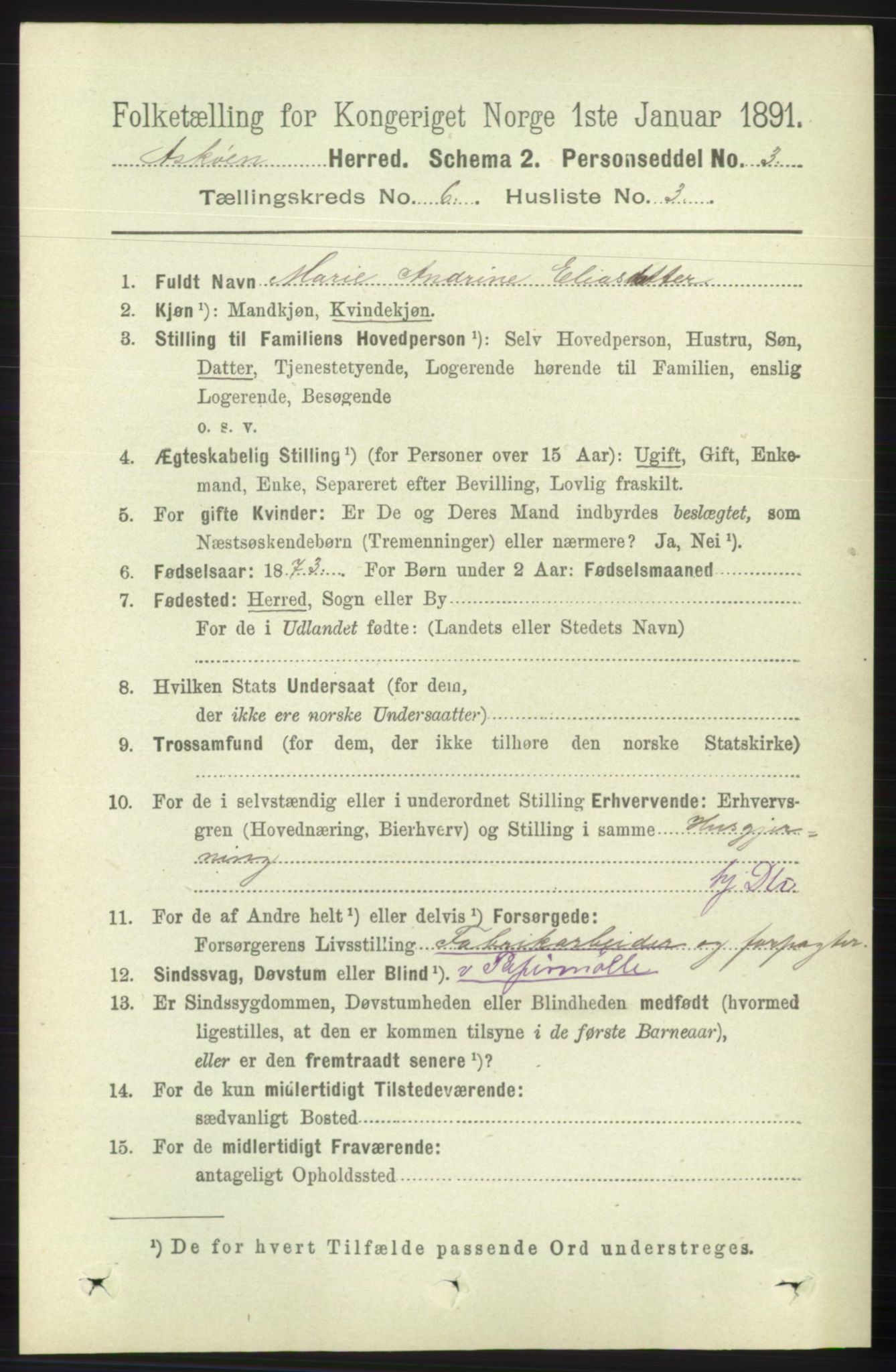 RA, 1891 census for 1247 Askøy, 1891, p. 4008