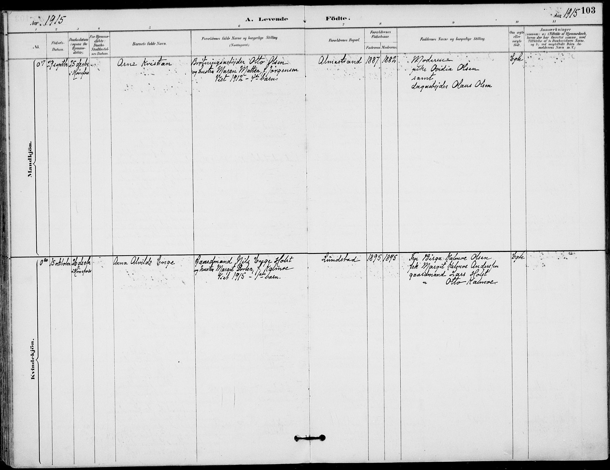 Haug kirkebøker, AV/SAKO-A-604/F/Fa/L0001: Parish register (official) no. 1, 1885-1917, p. 103