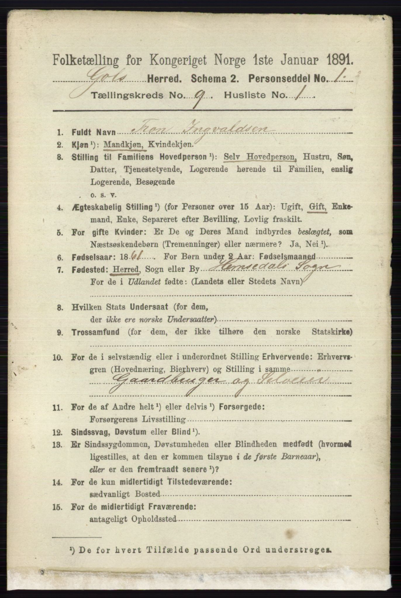 RA, 1891 census for 0617 Gol og Hemsedal, 1891, p. 3398