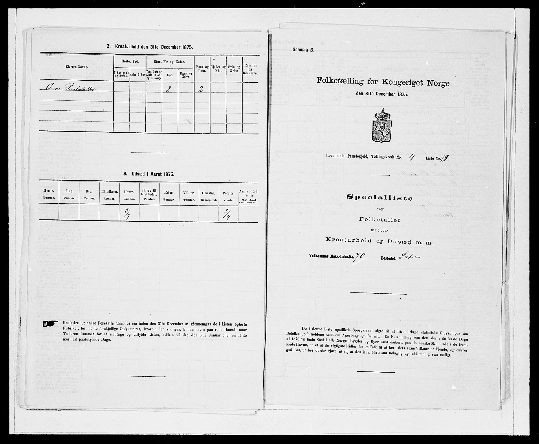 SAB, 1875 Census for 1444P Hornindal, 1875, p. 545