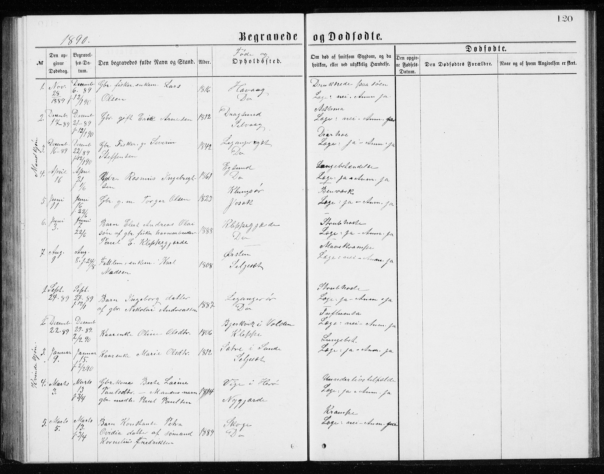 Ministerialprotokoller, klokkerbøker og fødselsregistre - Møre og Romsdal, AV/SAT-A-1454/508/L0097: Parish register (copy) no. 508C01, 1873-1897, p. 120