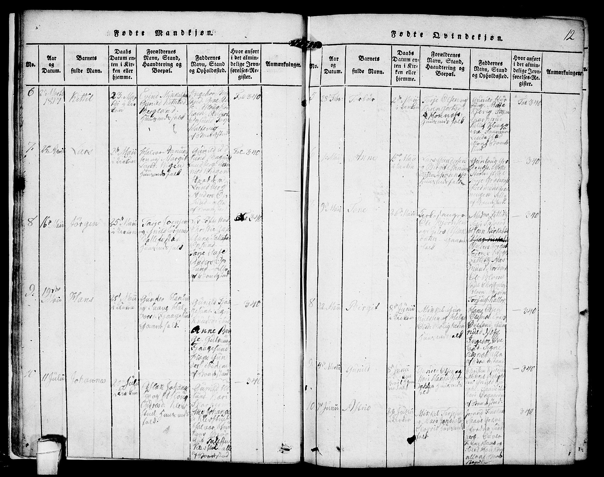 Kviteseid kirkebøker, SAKO/A-276/F/Fa/L0005: Parish register (official) no. I 5, 1815-1836, p. 12
