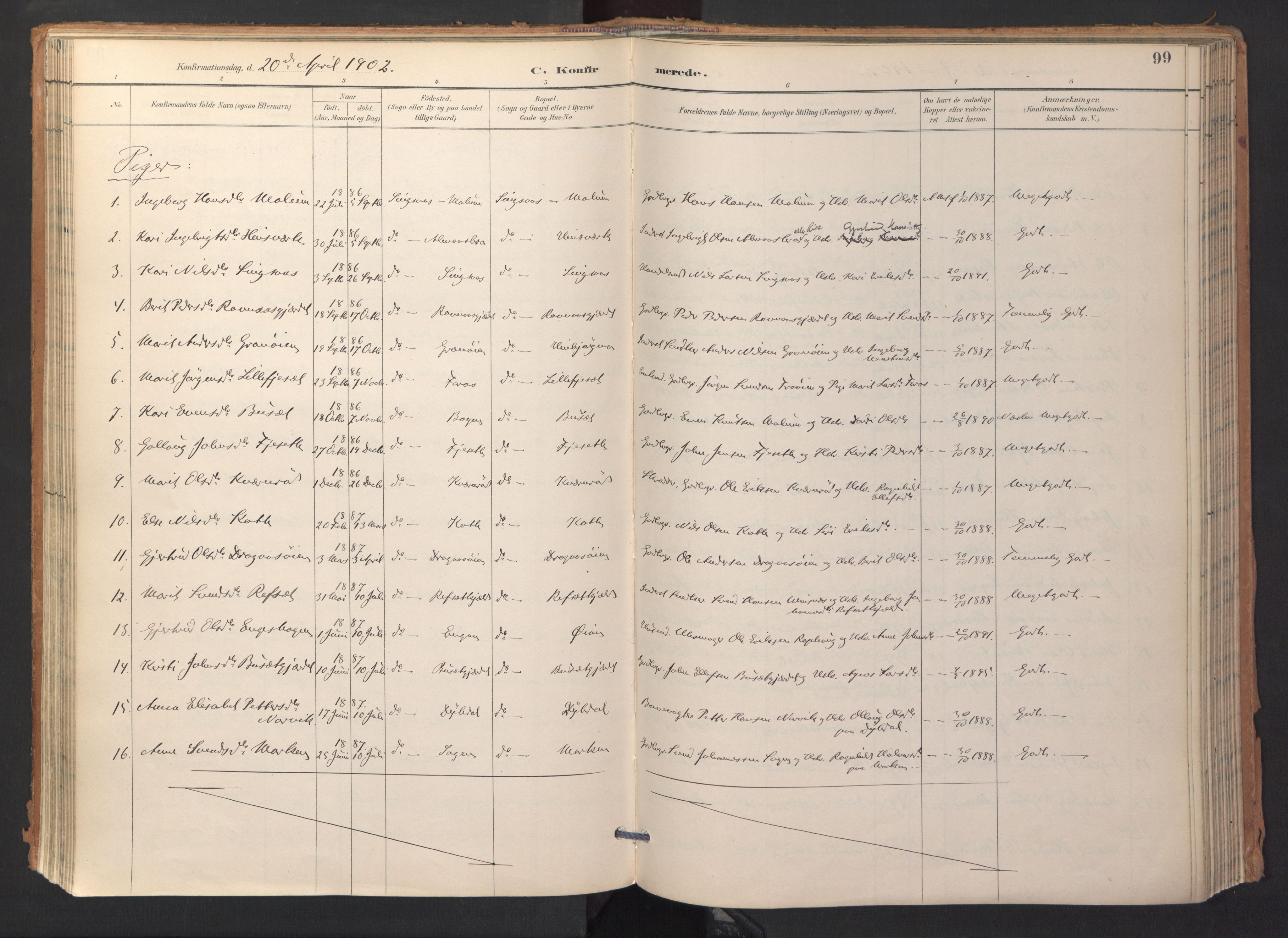 Ministerialprotokoller, klokkerbøker og fødselsregistre - Sør-Trøndelag, AV/SAT-A-1456/688/L1025: Parish register (official) no. 688A02, 1891-1909, p. 99