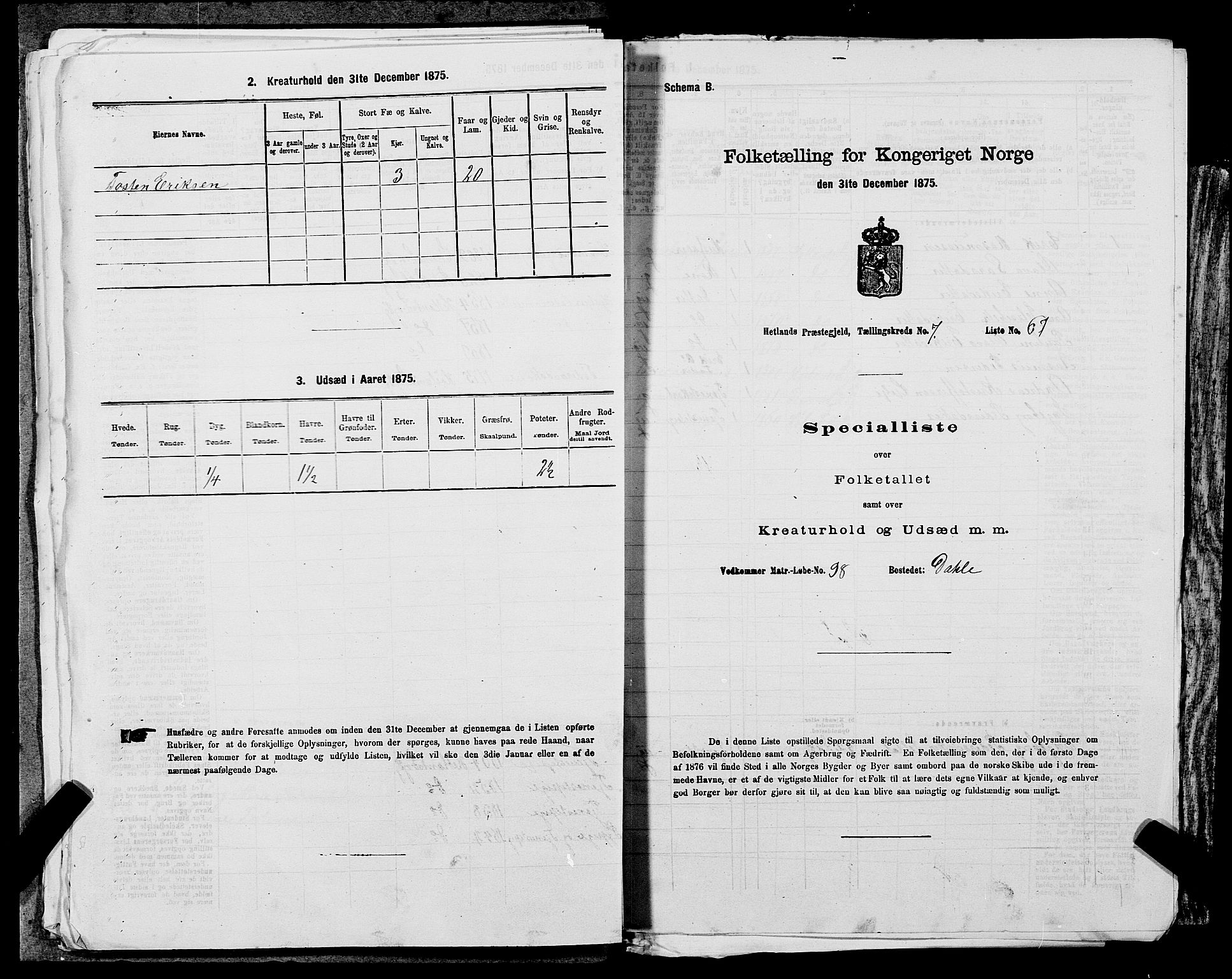 SAST, 1875 census for 1126P Hetland, 1875, p. 1571