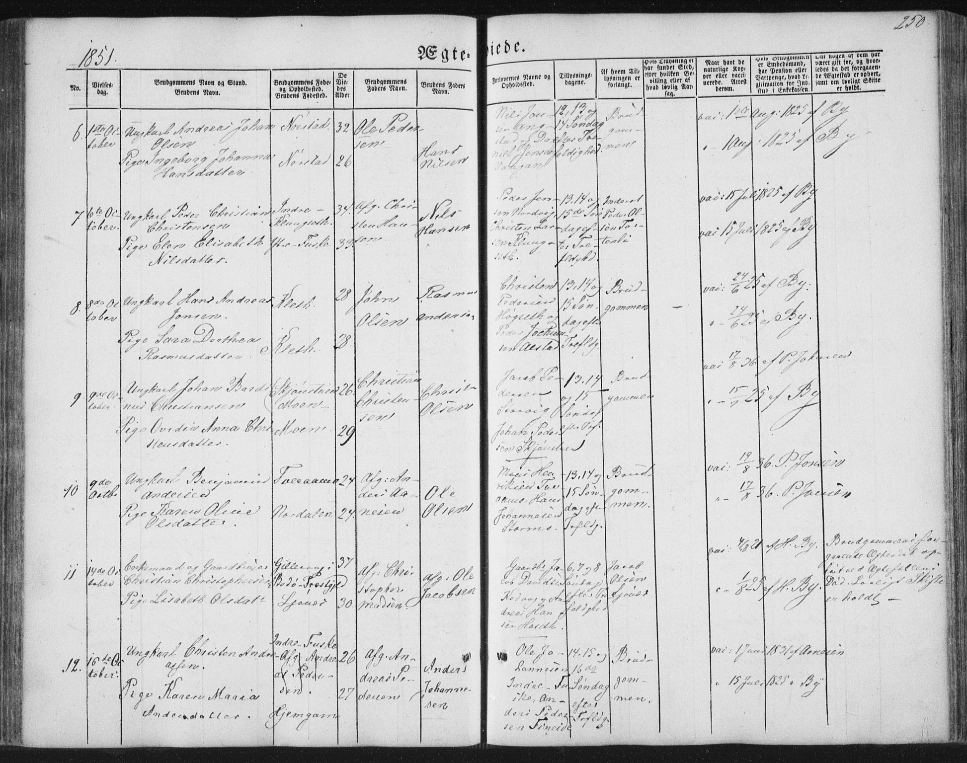 Ministerialprotokoller, klokkerbøker og fødselsregistre - Nordland, AV/SAT-A-1459/852/L0738: Parish register (official) no. 852A08, 1849-1865, p. 250