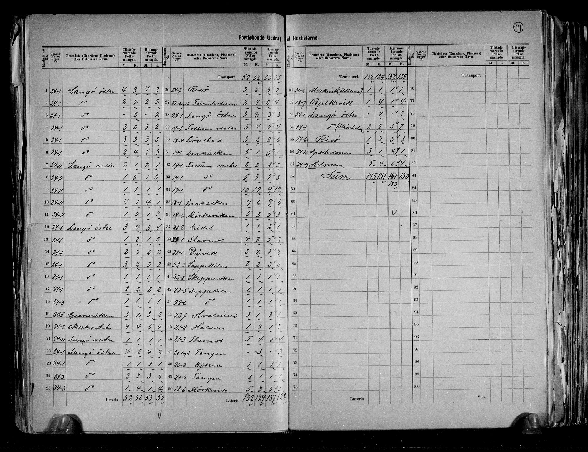 RA, 1891 census for 0815 Skåtøy, 1891, p. 25