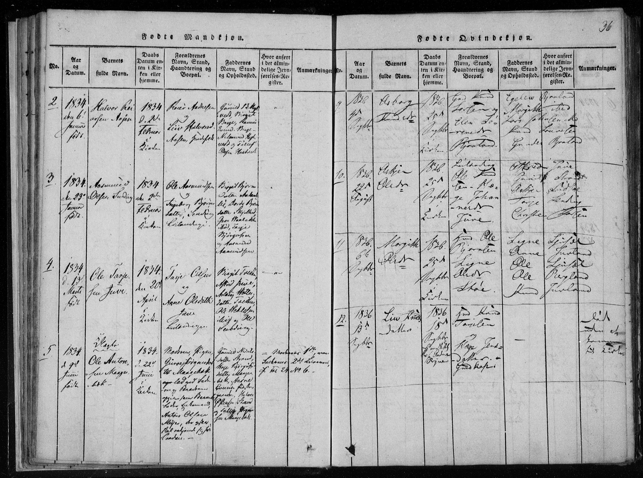 Lårdal kirkebøker, SAKO/A-284/F/Fa/L0005: Parish register (official) no. I 5, 1815-1860, p. 36