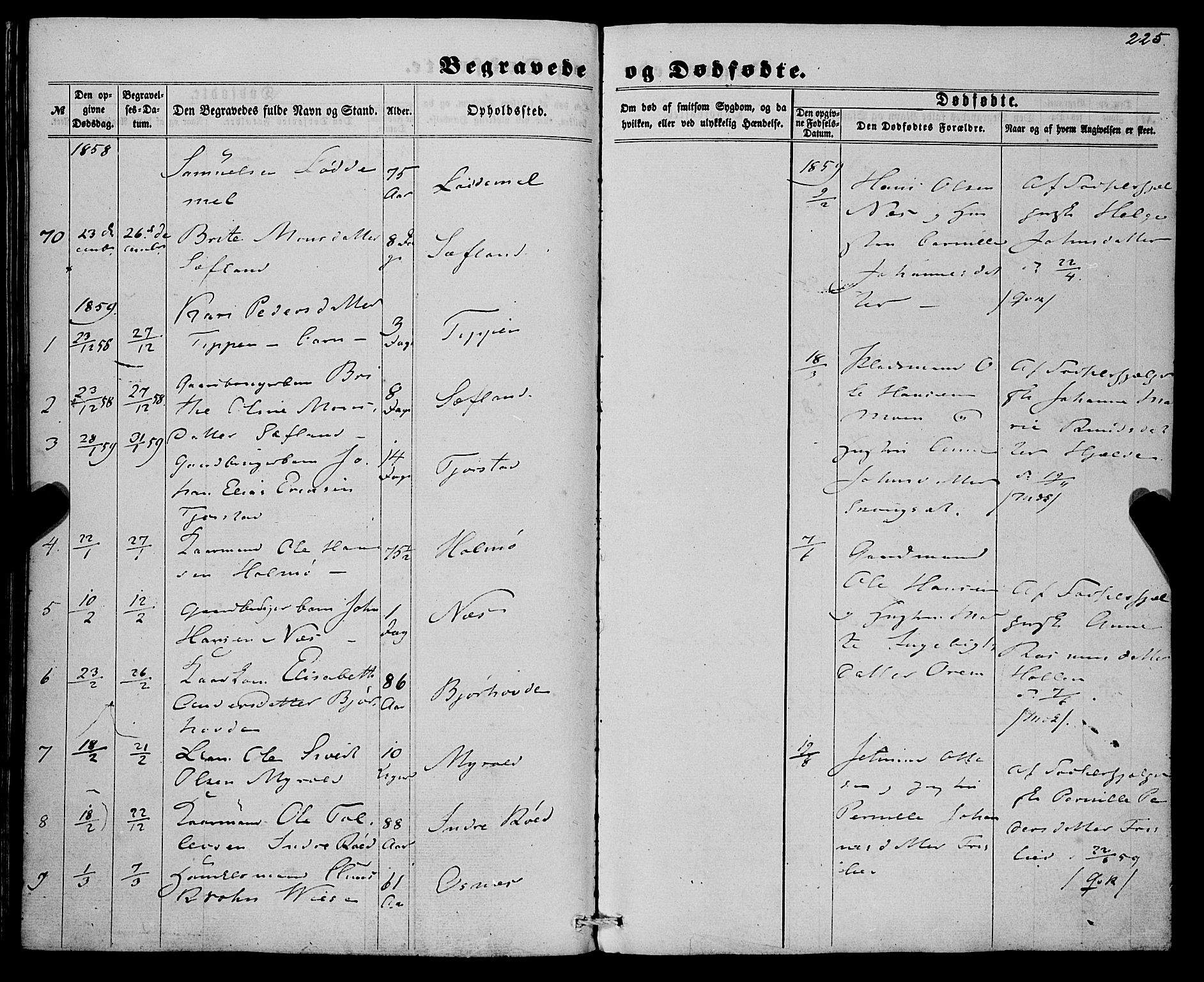 Eid sokneprestembete, AV/SAB-A-82301/H/Haa/Haaa/L0008: Parish register (official) no. A 8, 1858-1860, p. 225