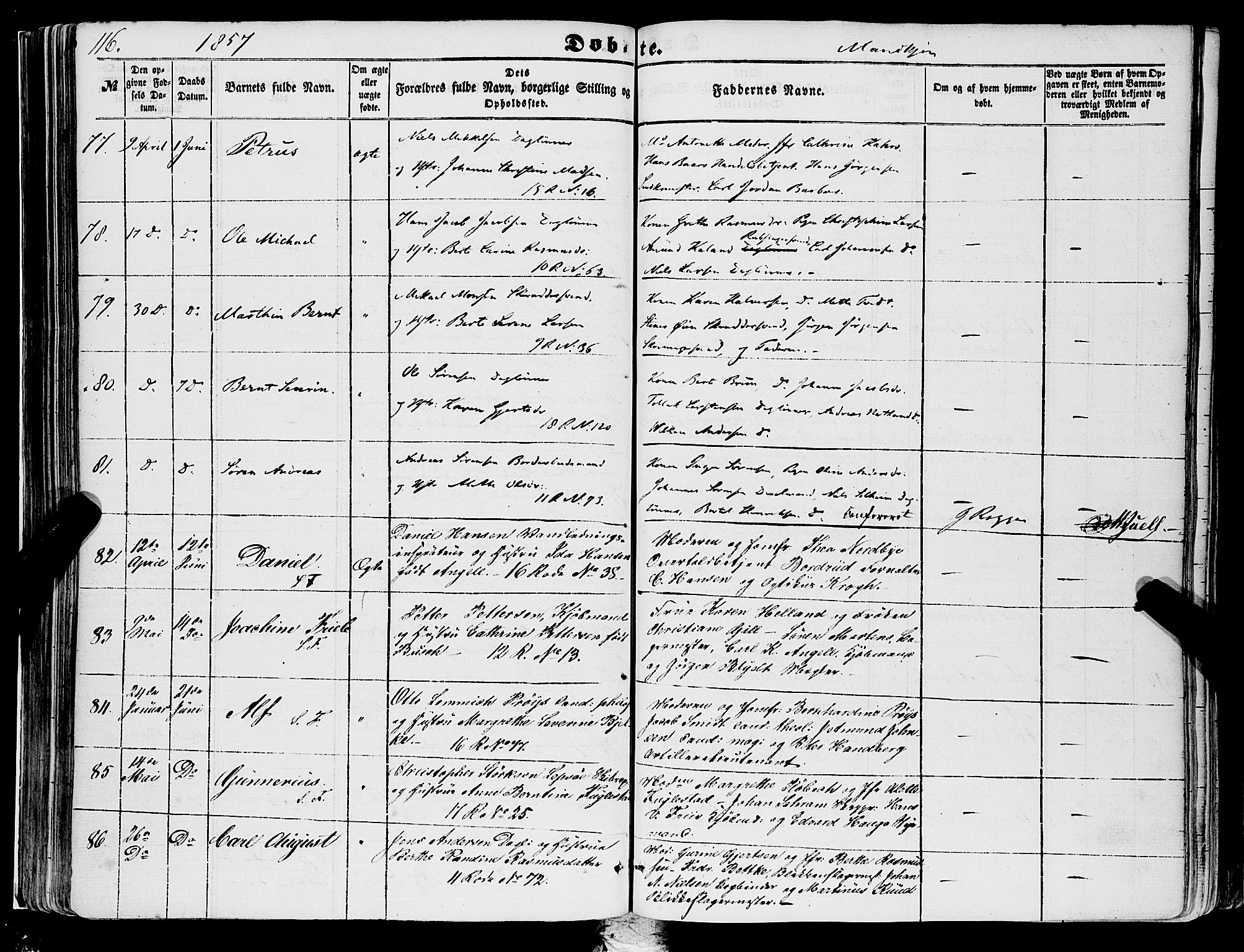 Domkirken sokneprestembete, AV/SAB-A-74801/H/Haa/L0020: Parish register (official) no. B 3, 1851-1859, p. 116