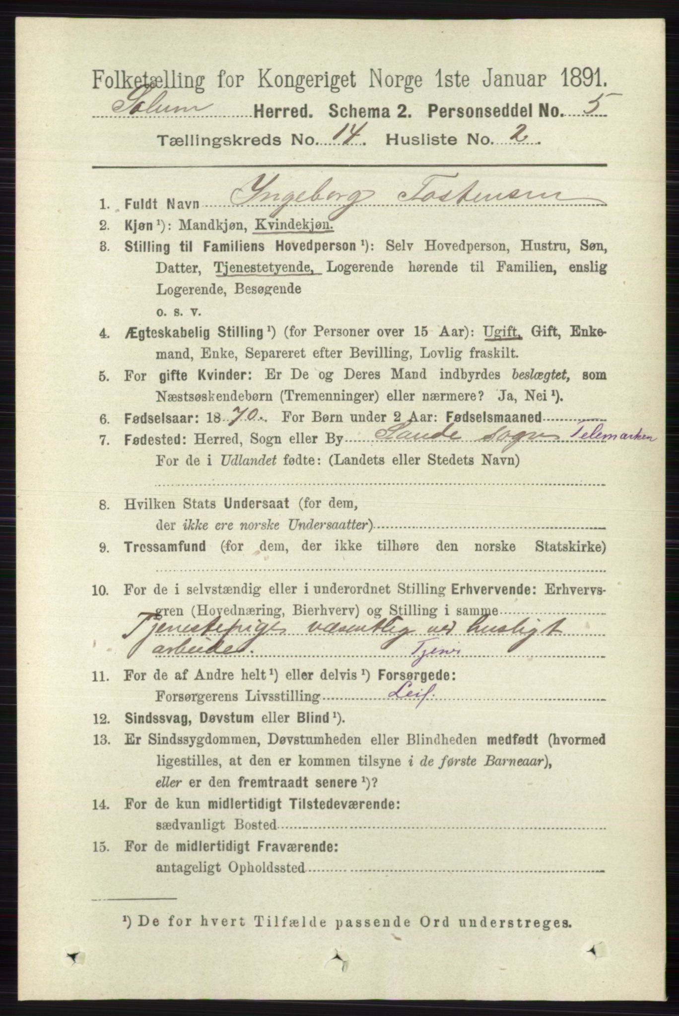 RA, 1891 census for 0818 Solum, 1891, p. 6373