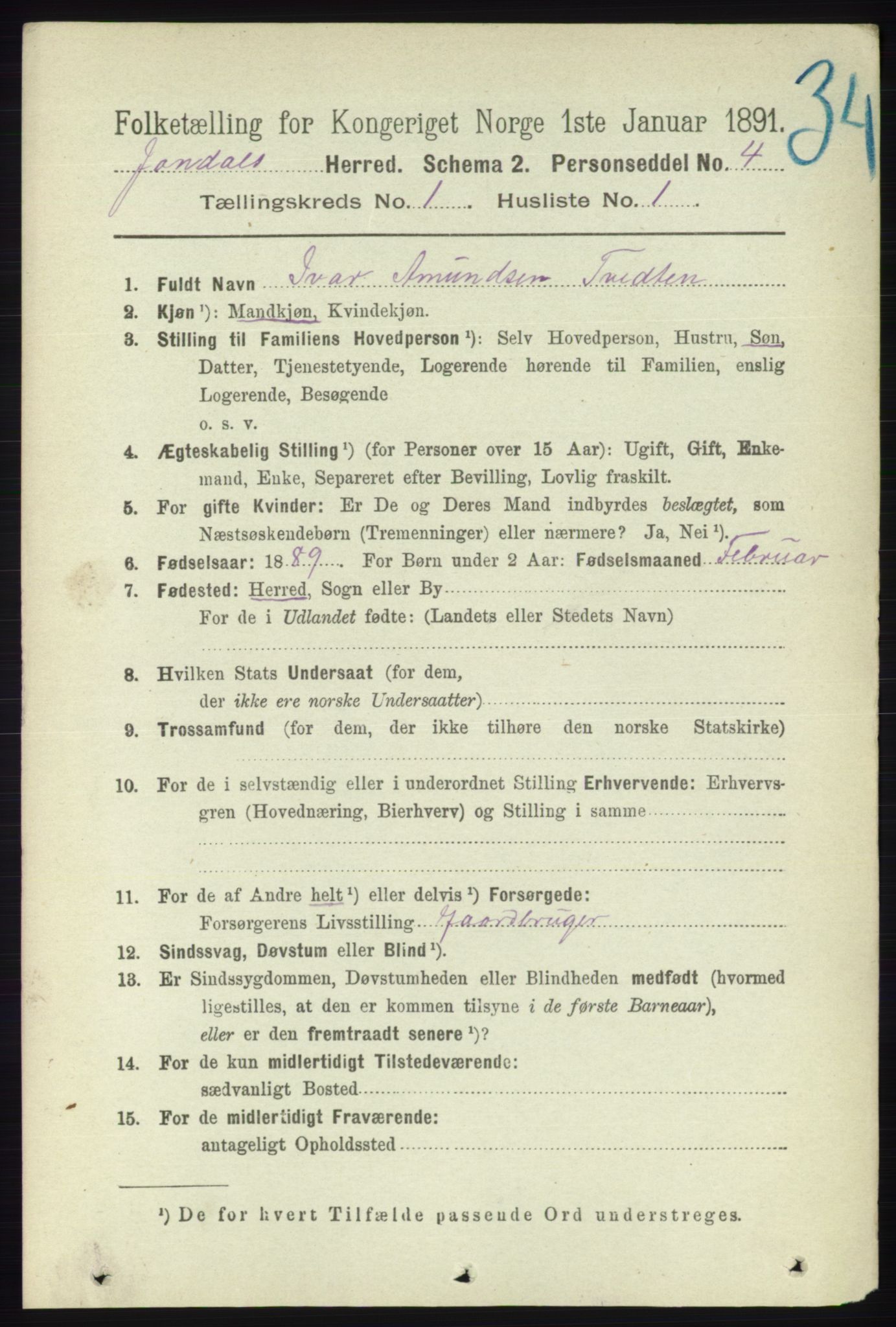 RA, 1891 census for 1227 Jondal, 1891, p. 141