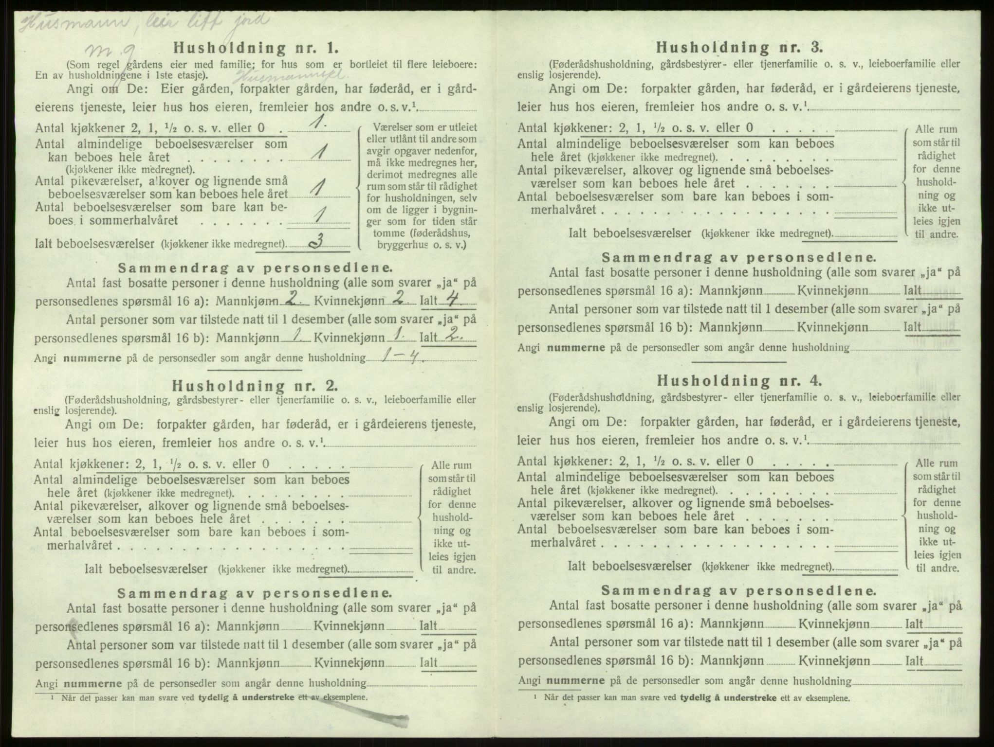 SAB, 1920 census for Lærdal, 1920, p. 220