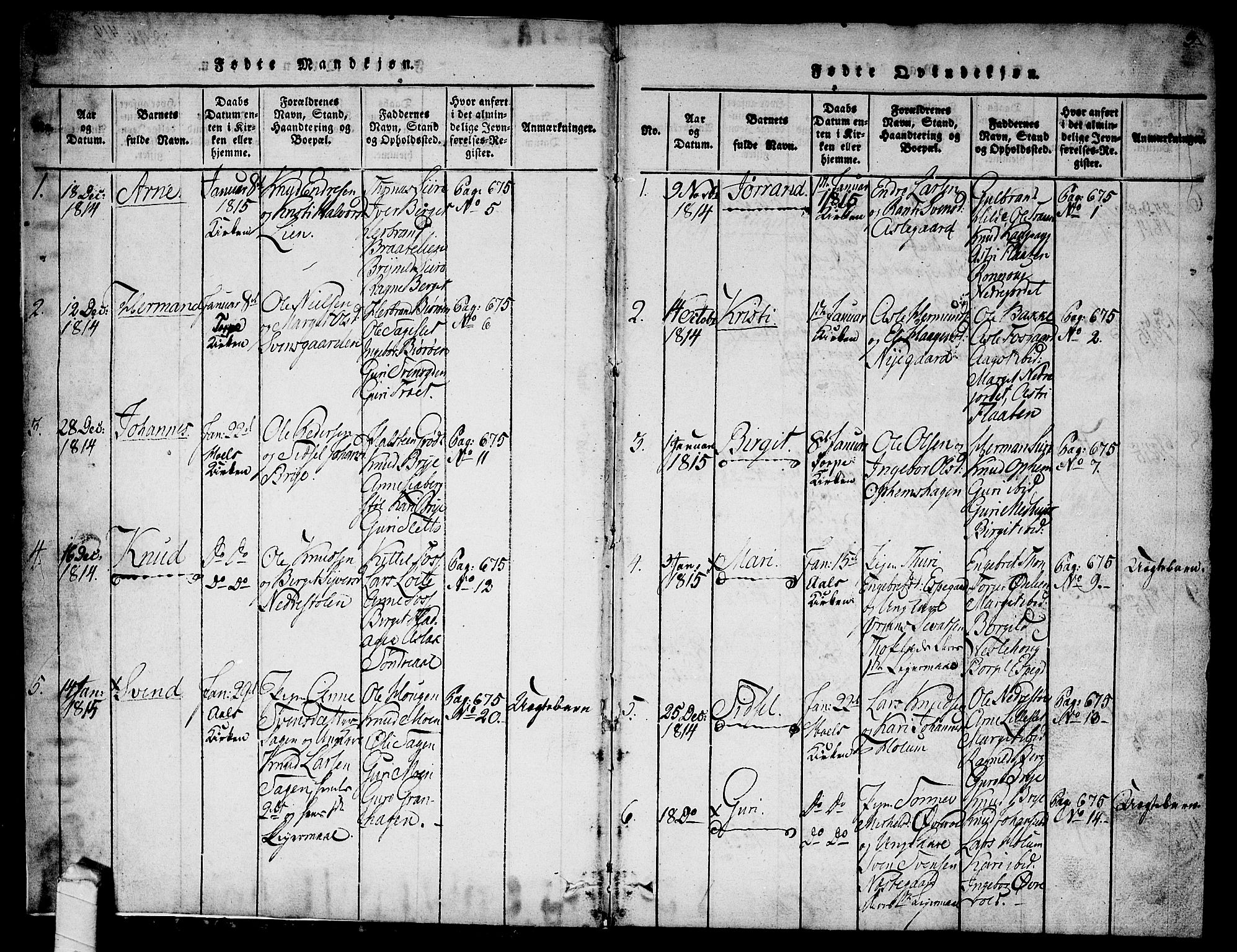 Ål kirkebøker, SAKO/A-249/G/Ga/L0001: Parish register (copy) no. 1, 1815-1829, p. 2-3