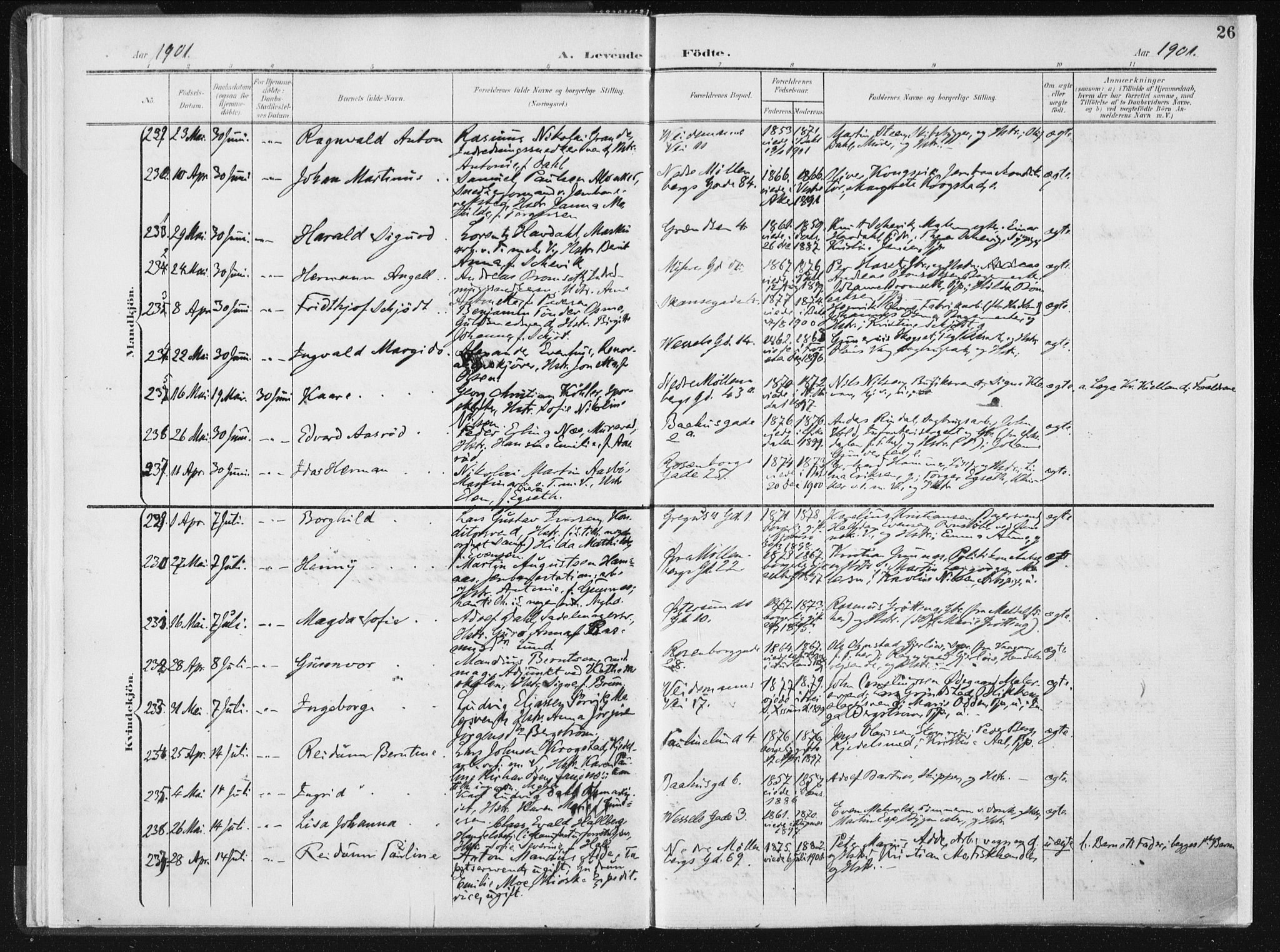 Ministerialprotokoller, klokkerbøker og fødselsregistre - Sør-Trøndelag, SAT/A-1456/604/L0199: Parish register (official) no. 604A20I, 1901-1906, p. 26