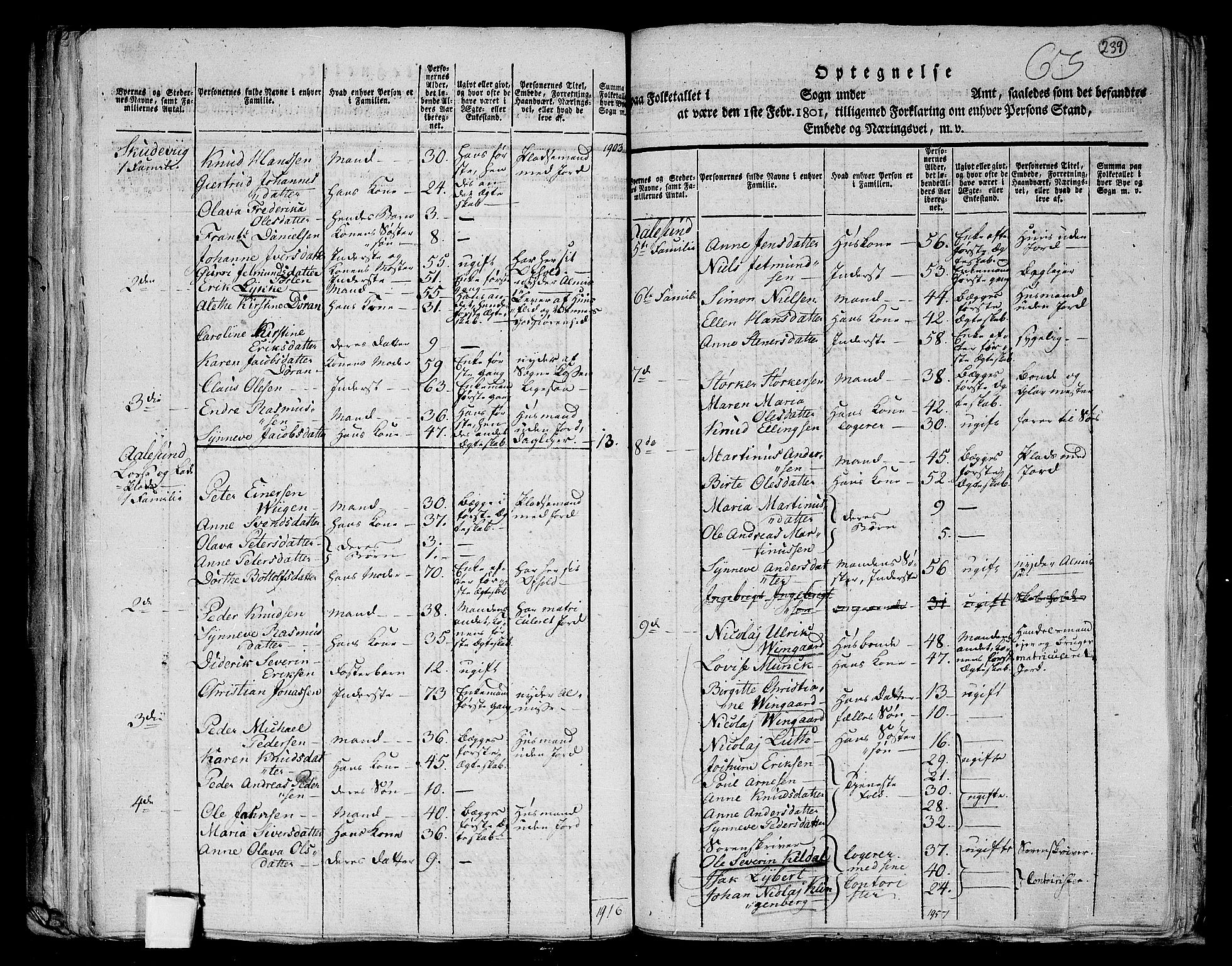 RA, 1801 census for 1531P Borgund, 1801, p. 238b-239a