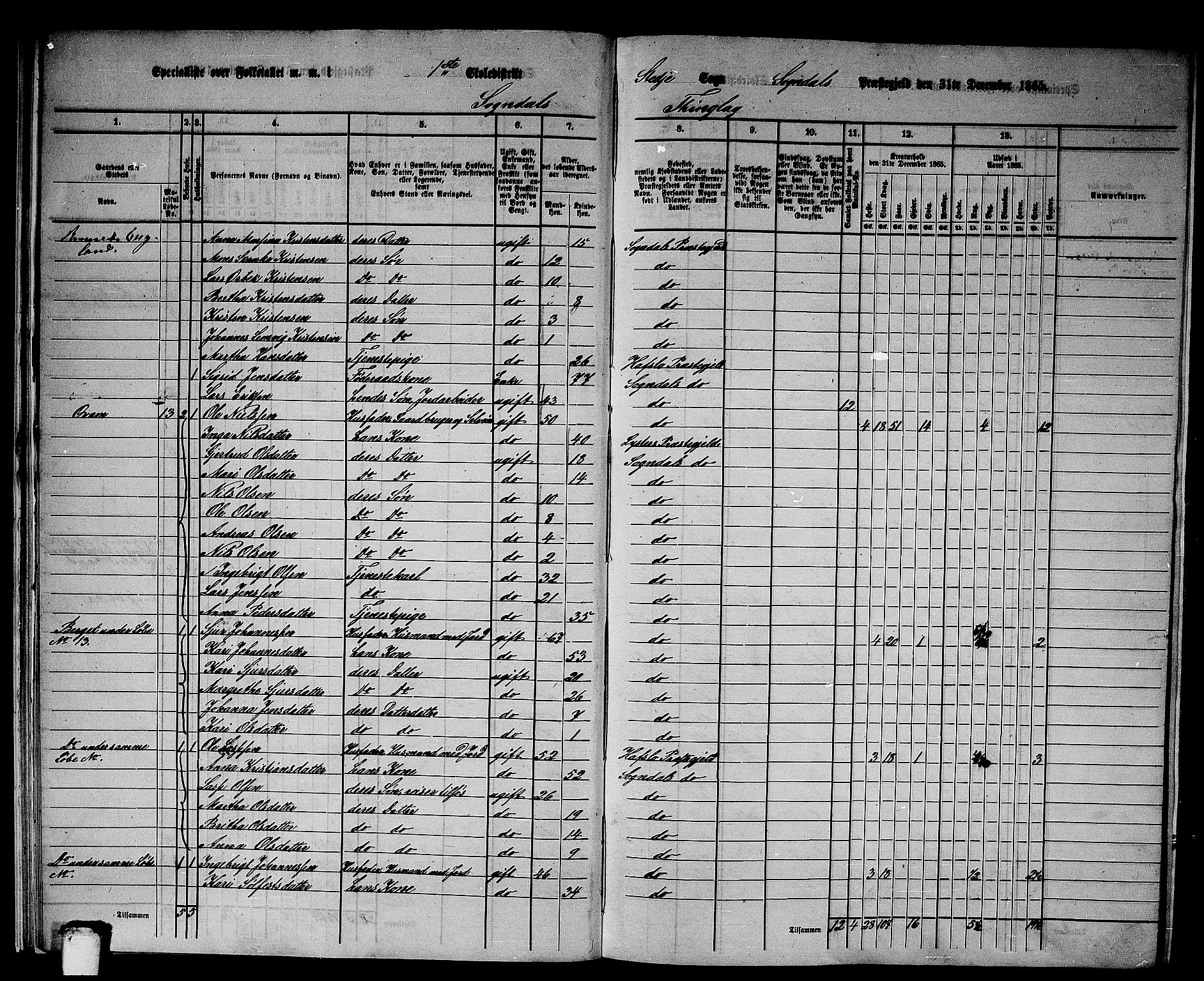 RA, 1865 census for Sogndal, 1865, p. 19