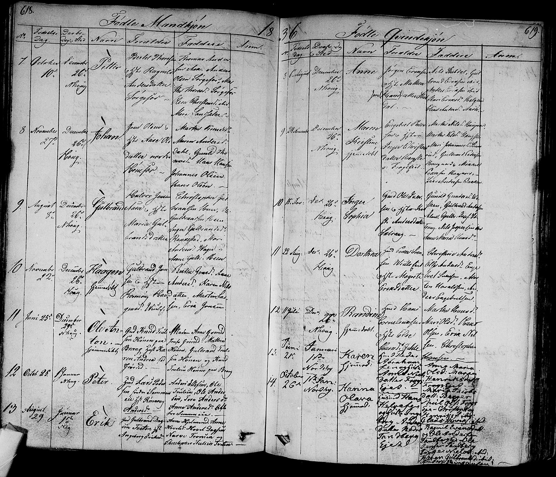 Norderhov kirkebøker, AV/SAKO-A-237/F/Fa/L0009: Parish register (official) no. 9, 1819-1837, p. 618-619