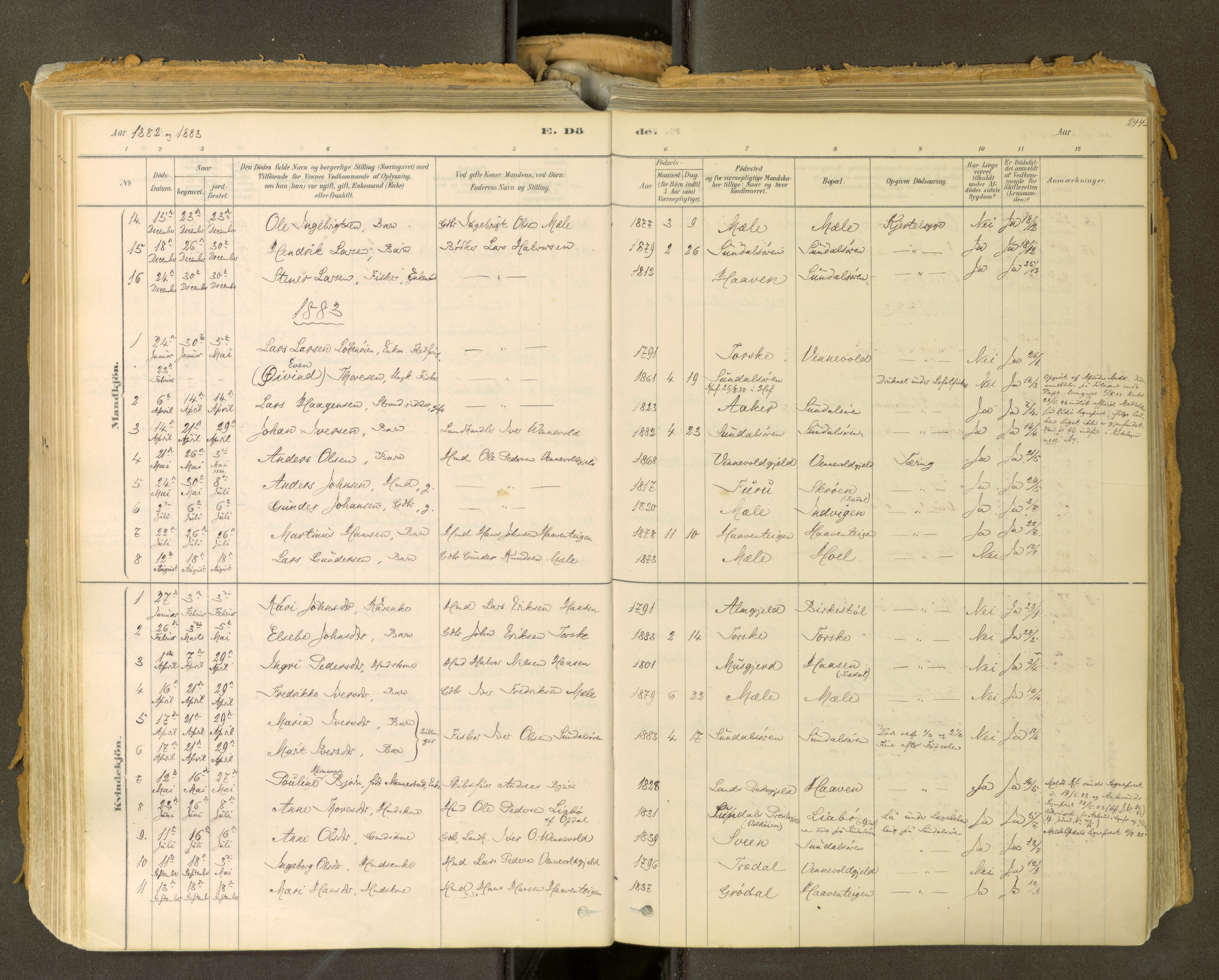 Sunndal sokneprestkontor, SAT/A-1085/1/I/I1/I1a: Parish register (official) no. 2, 1877-1914, p. 244