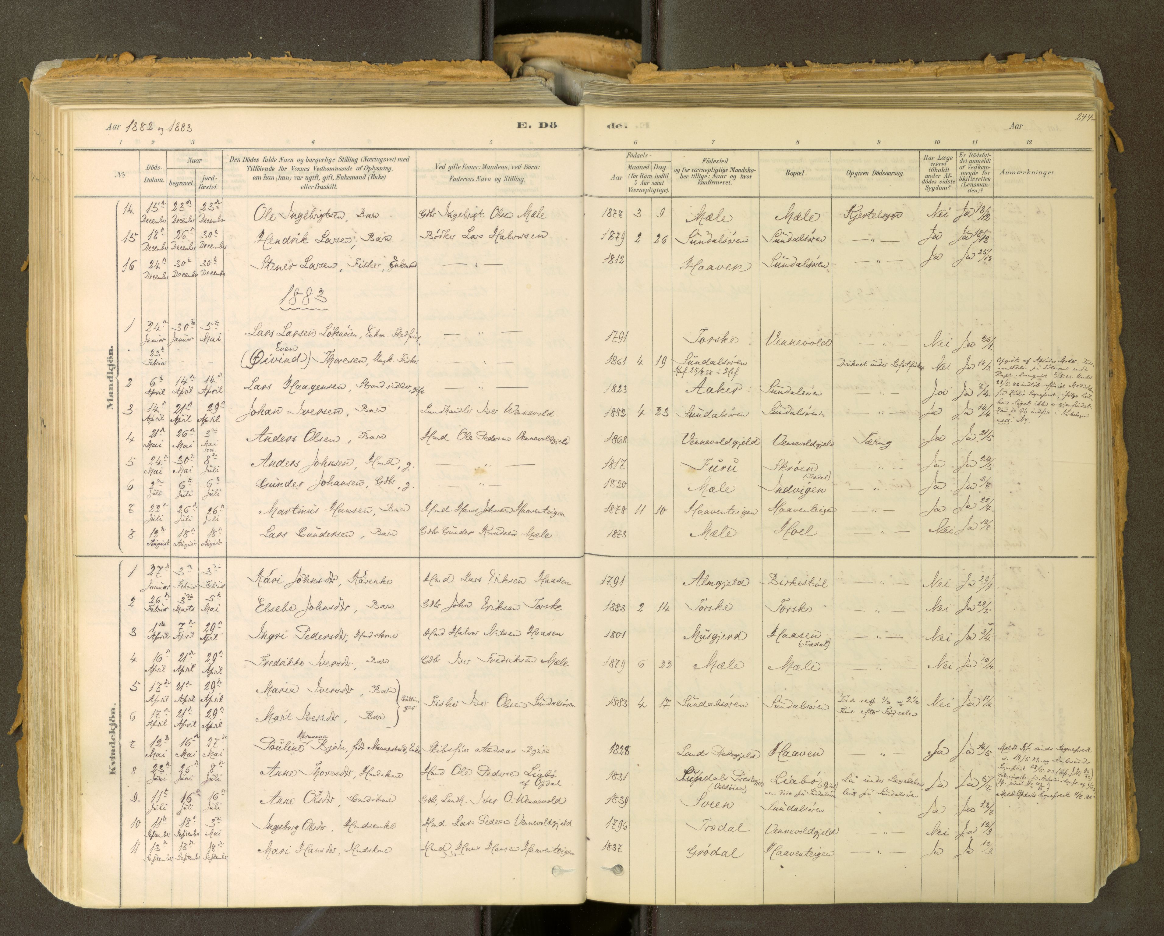 Sunndal sokneprestkontor, AV/SAT-A-1085/1/I/I1/I1a: Parish register (official) no. 2, 1877-1914, p. 244
