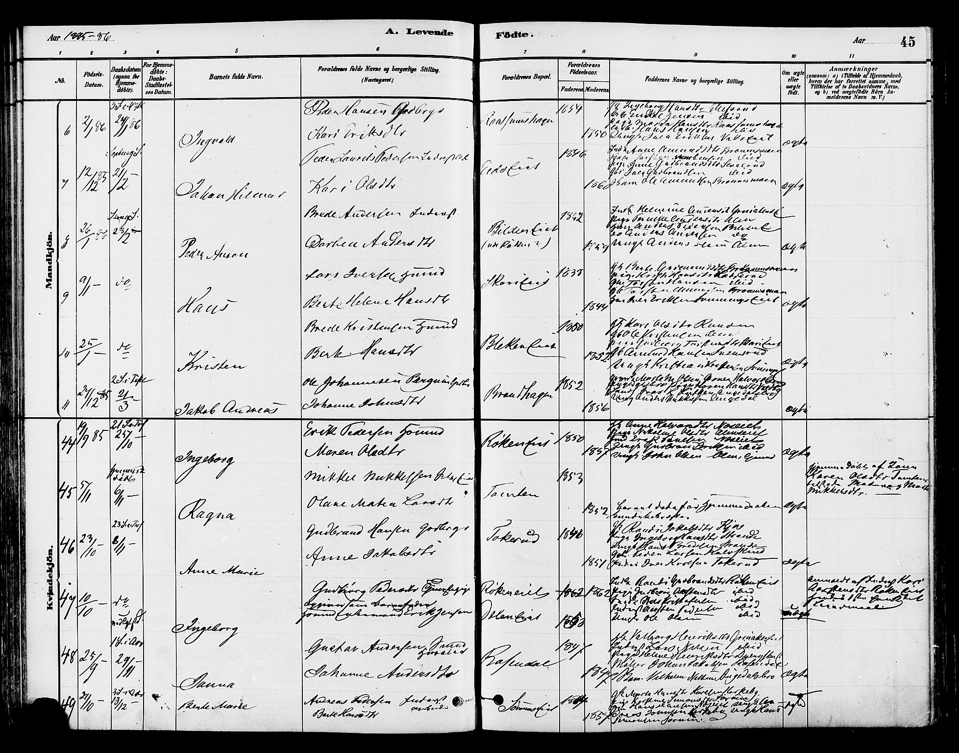 Gran prestekontor, SAH/PREST-112/H/Ha/Haa/L0015: Parish register (official) no. 15, 1880-1888, p. 45