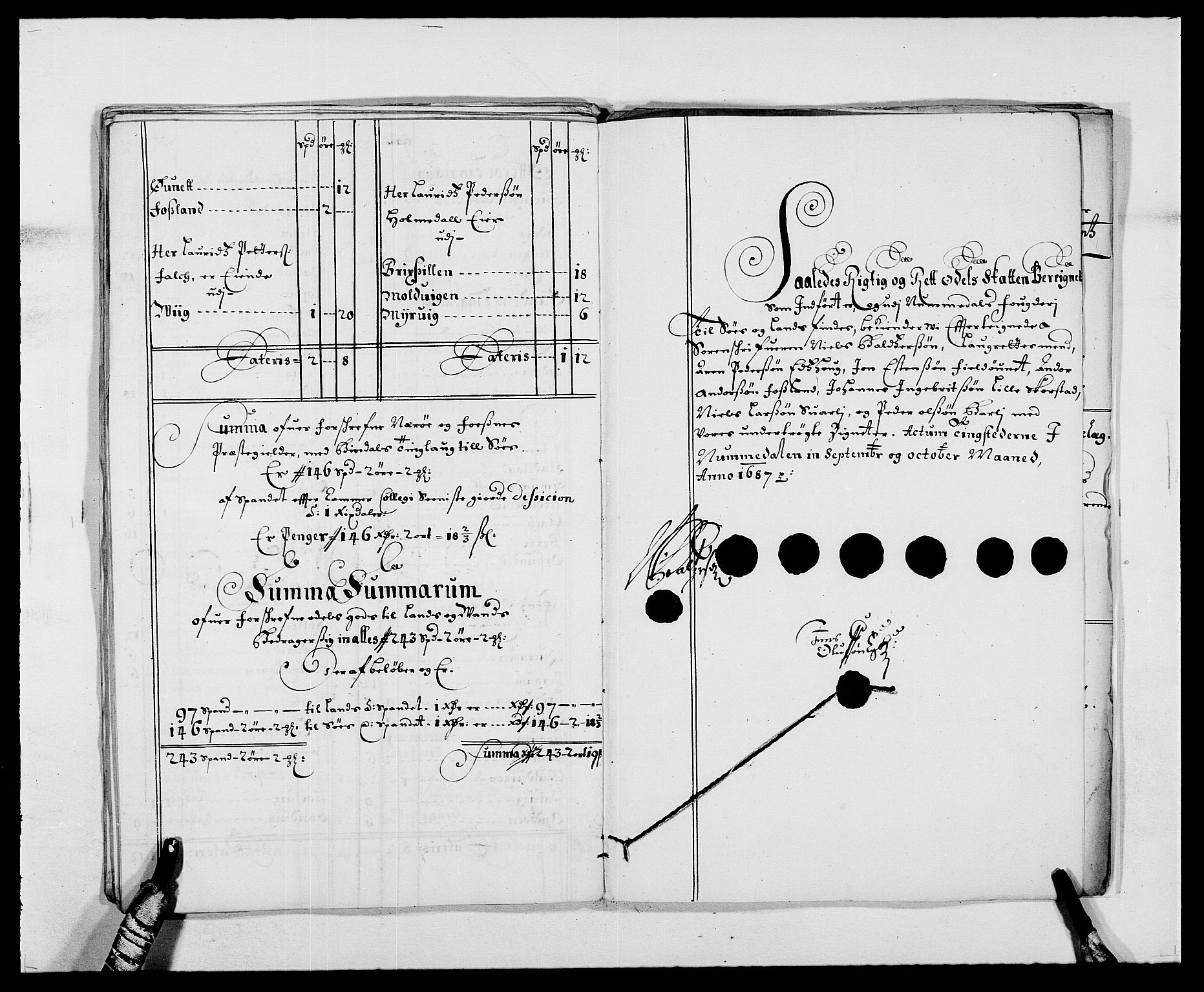 Rentekammeret inntil 1814, Reviderte regnskaper, Fogderegnskap, AV/RA-EA-4092/R64/L4422: Fogderegnskap Namdal, 1687-1689, p. 27