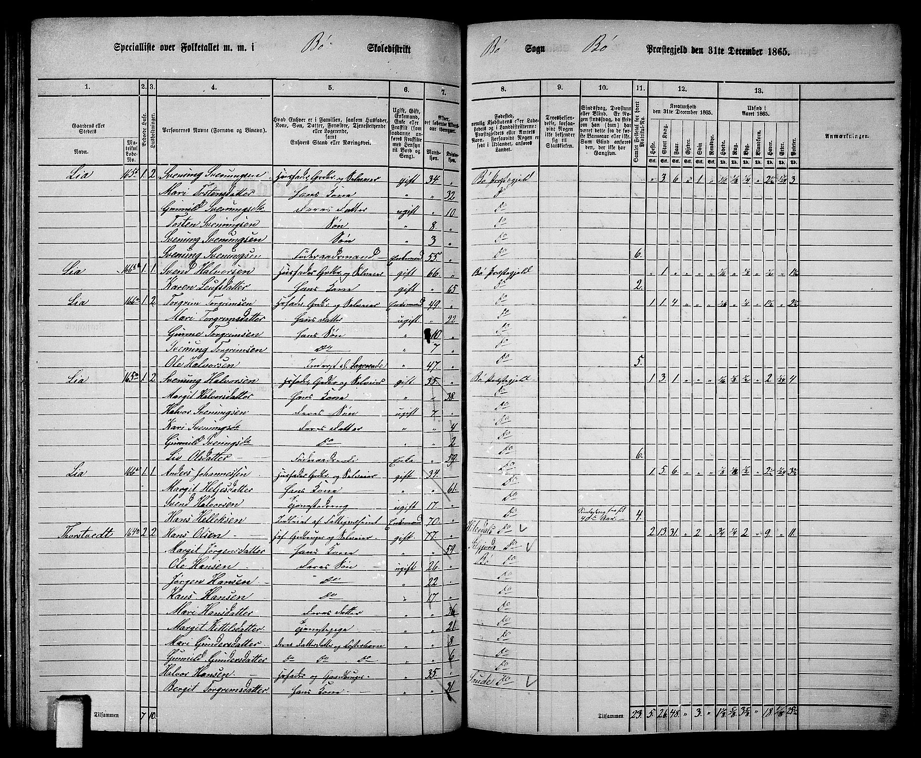 RA, 1865 census for Bø, 1865, p. 90