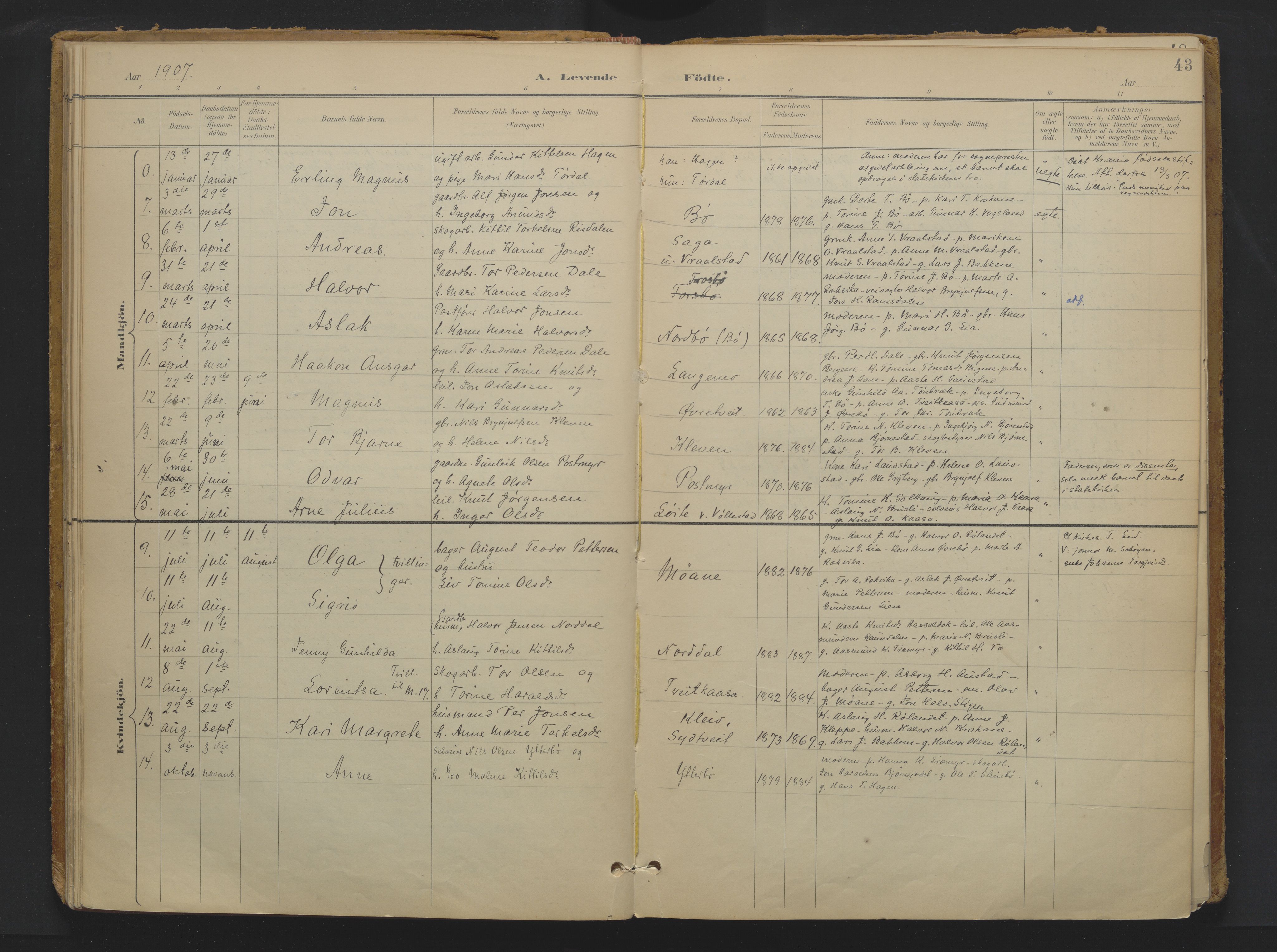 Drangedal kirkebøker, SAKO/A-258/F/Fa/L0013: Parish register (official) no. 13, 1895-1919, p. 43