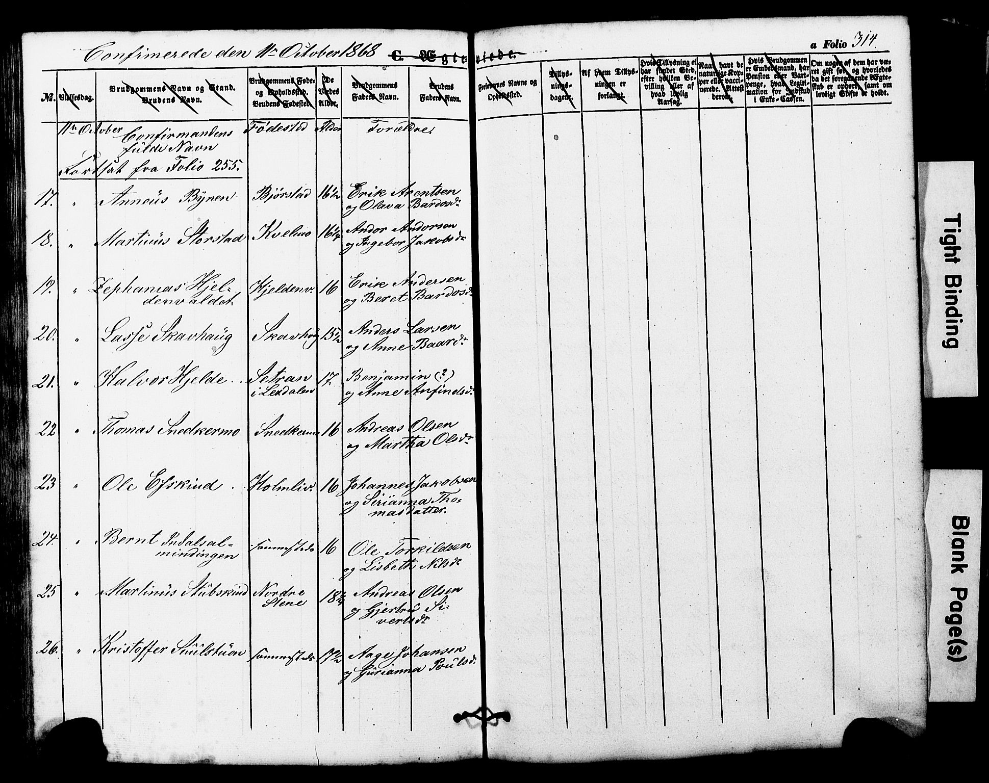 Ministerialprotokoller, klokkerbøker og fødselsregistre - Nord-Trøndelag, AV/SAT-A-1458/724/L0268: Parish register (copy) no. 724C04, 1846-1878, p. 314