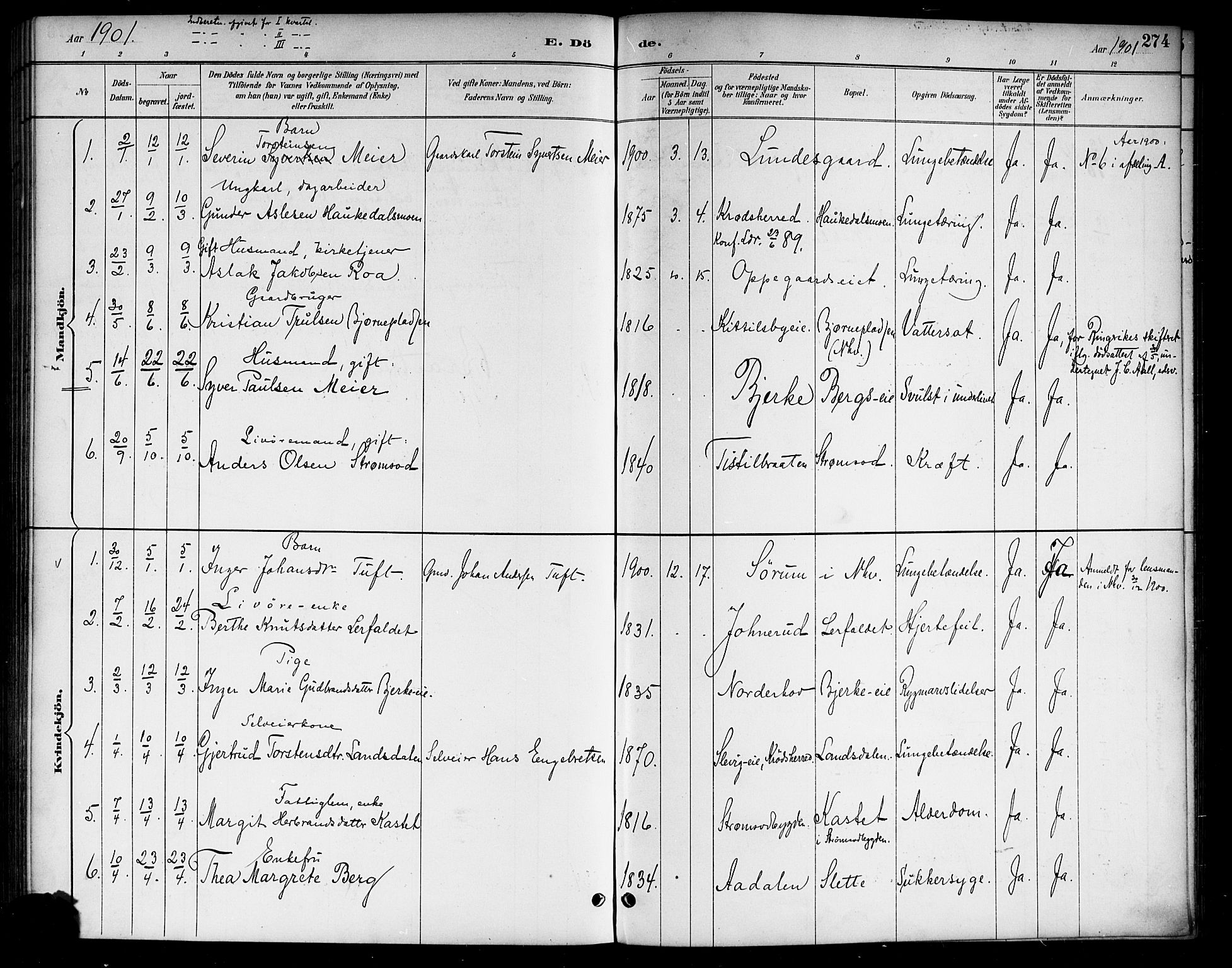 Lunder kirkebøker, AV/SAKO-A-629/G/Ga/L0004: Parish register (copy) no. I 4, 1889-1917, p. 274