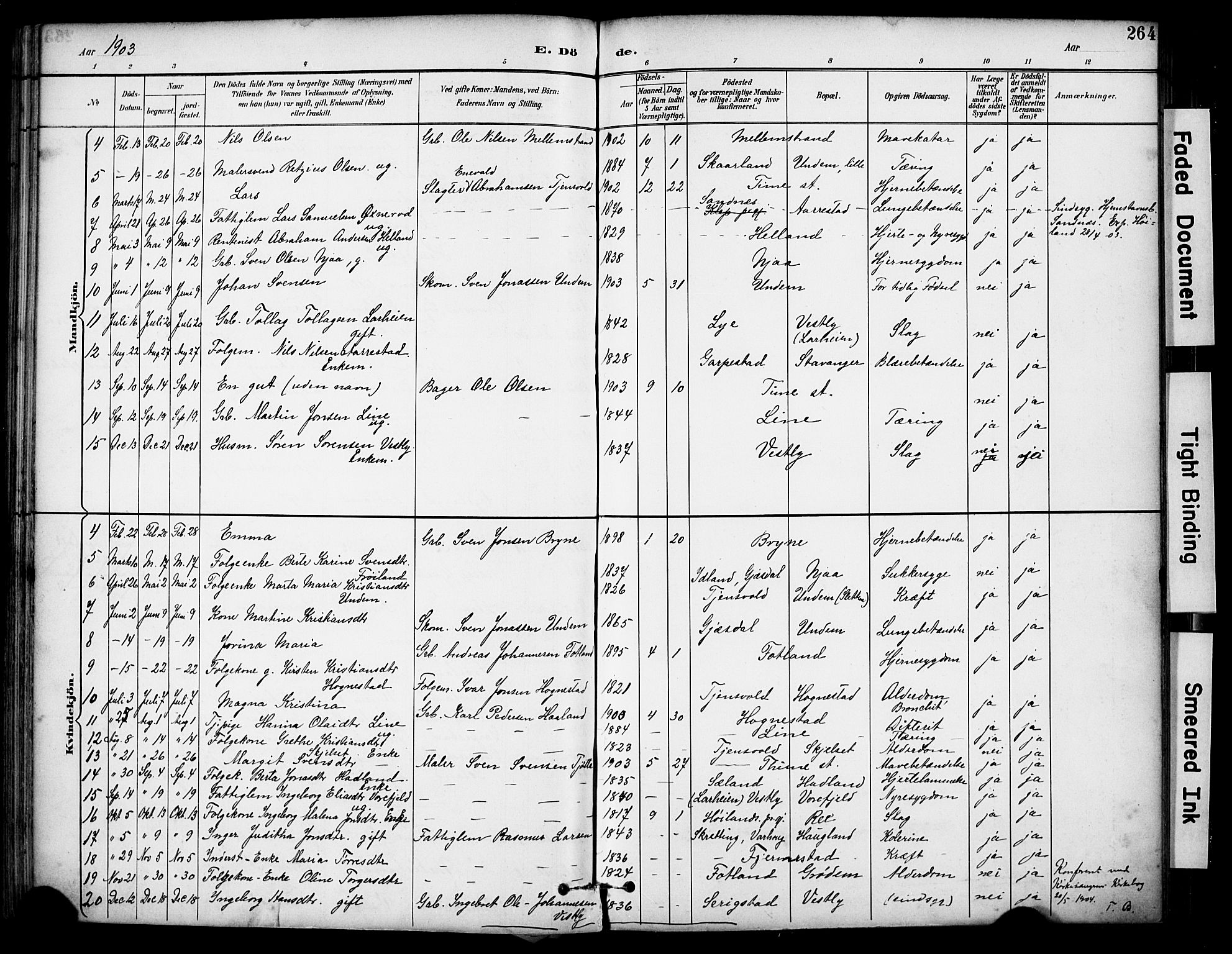 Lye sokneprestkontor, SAST/A-101794/001/30BA/L0011: Parish register (official) no. A 9, 1893-1903, p. 264