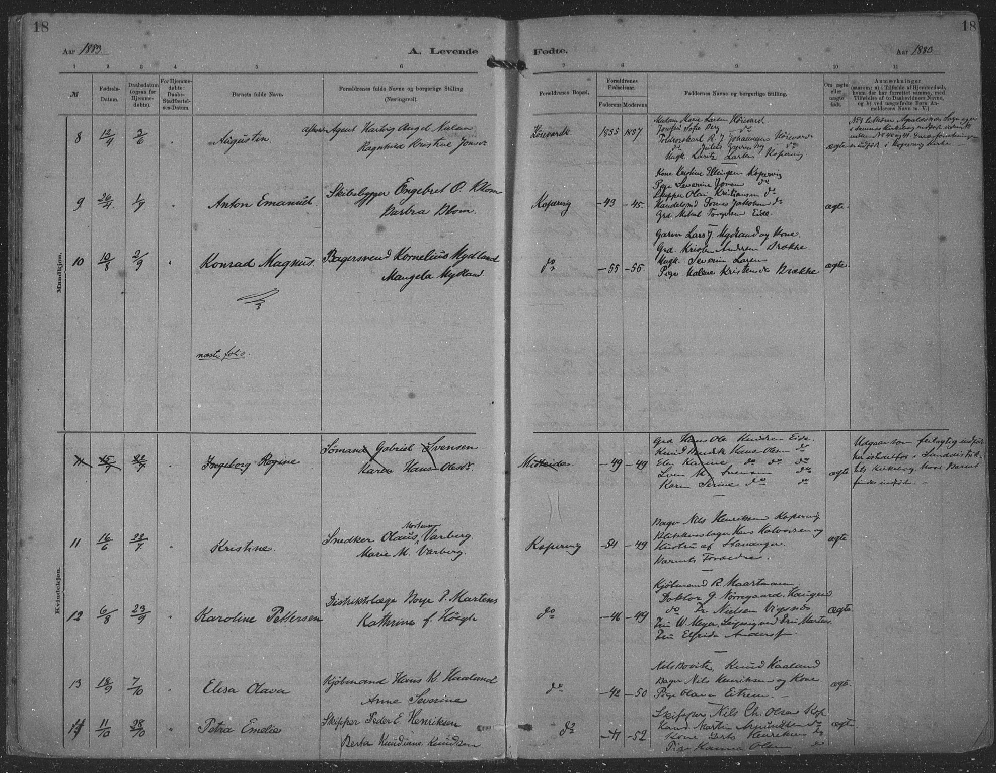 Kopervik sokneprestkontor, SAST/A-101850/H/Ha/Haa/L0001: Parish register (official) no. A 1, 1880-1919, p. 18