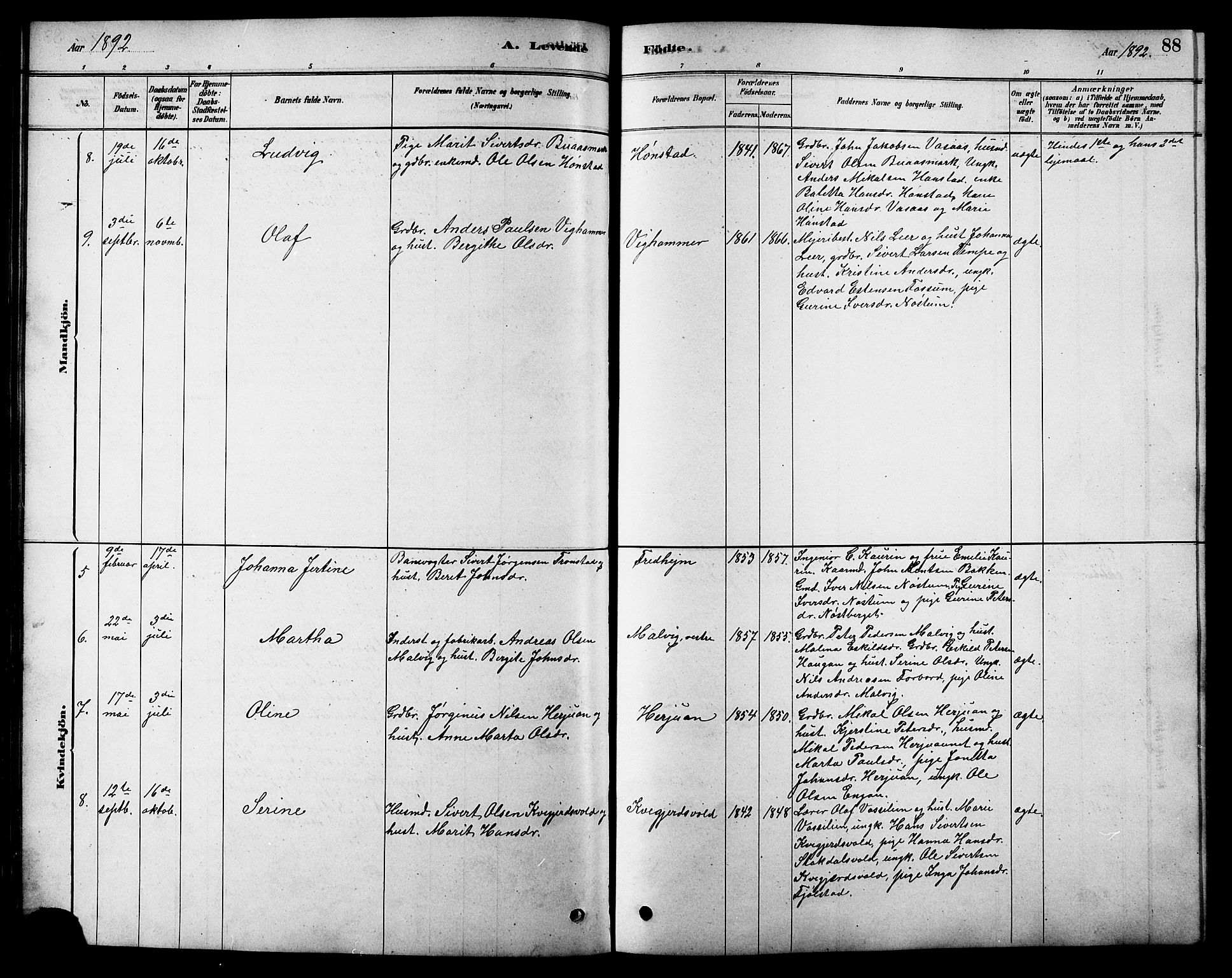 Ministerialprotokoller, klokkerbøker og fødselsregistre - Sør-Trøndelag, AV/SAT-A-1456/616/L0423: Parish register (copy) no. 616C06, 1878-1903, p. 88