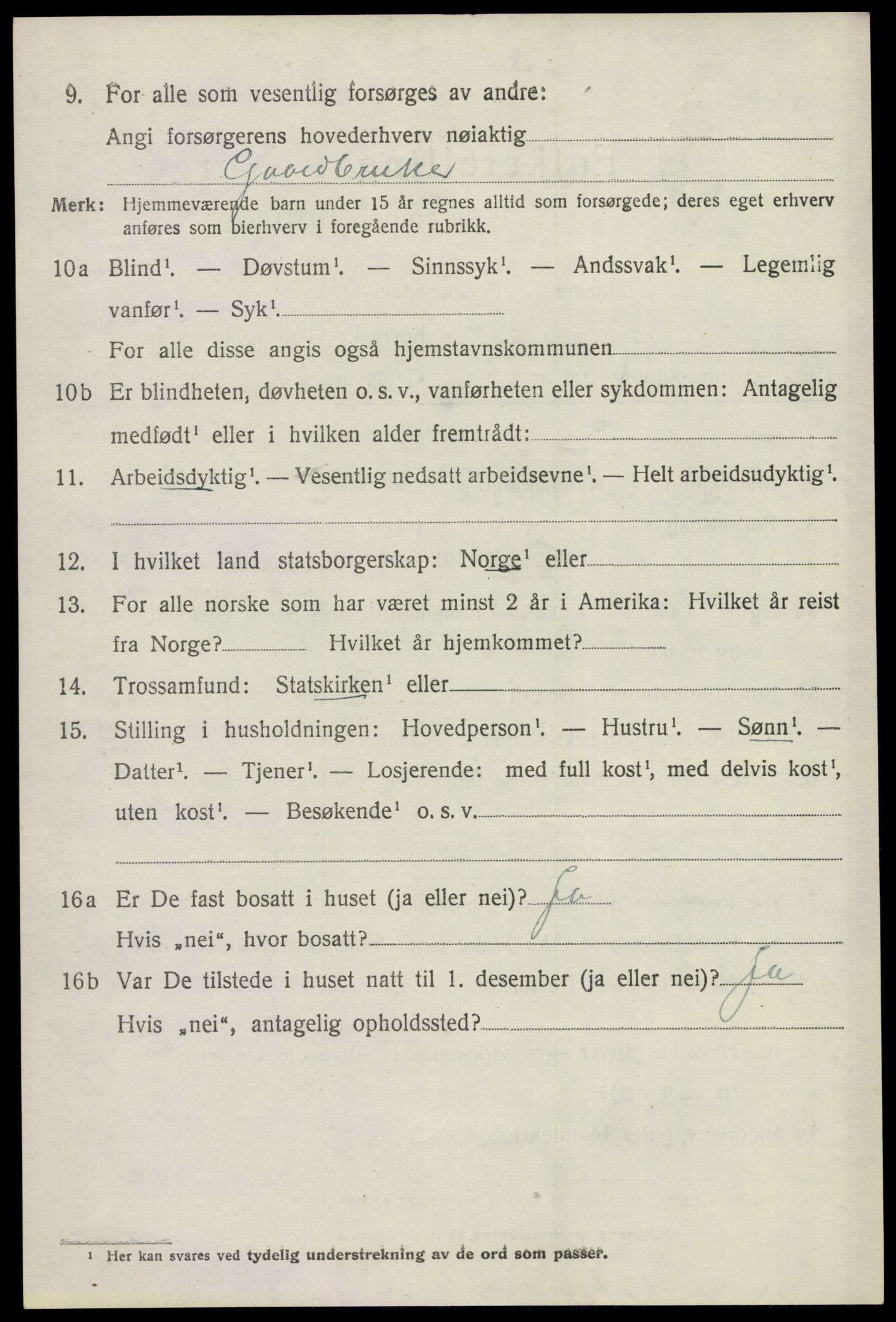 SAKO, 1920 census for Gol, 1920, p. 2205