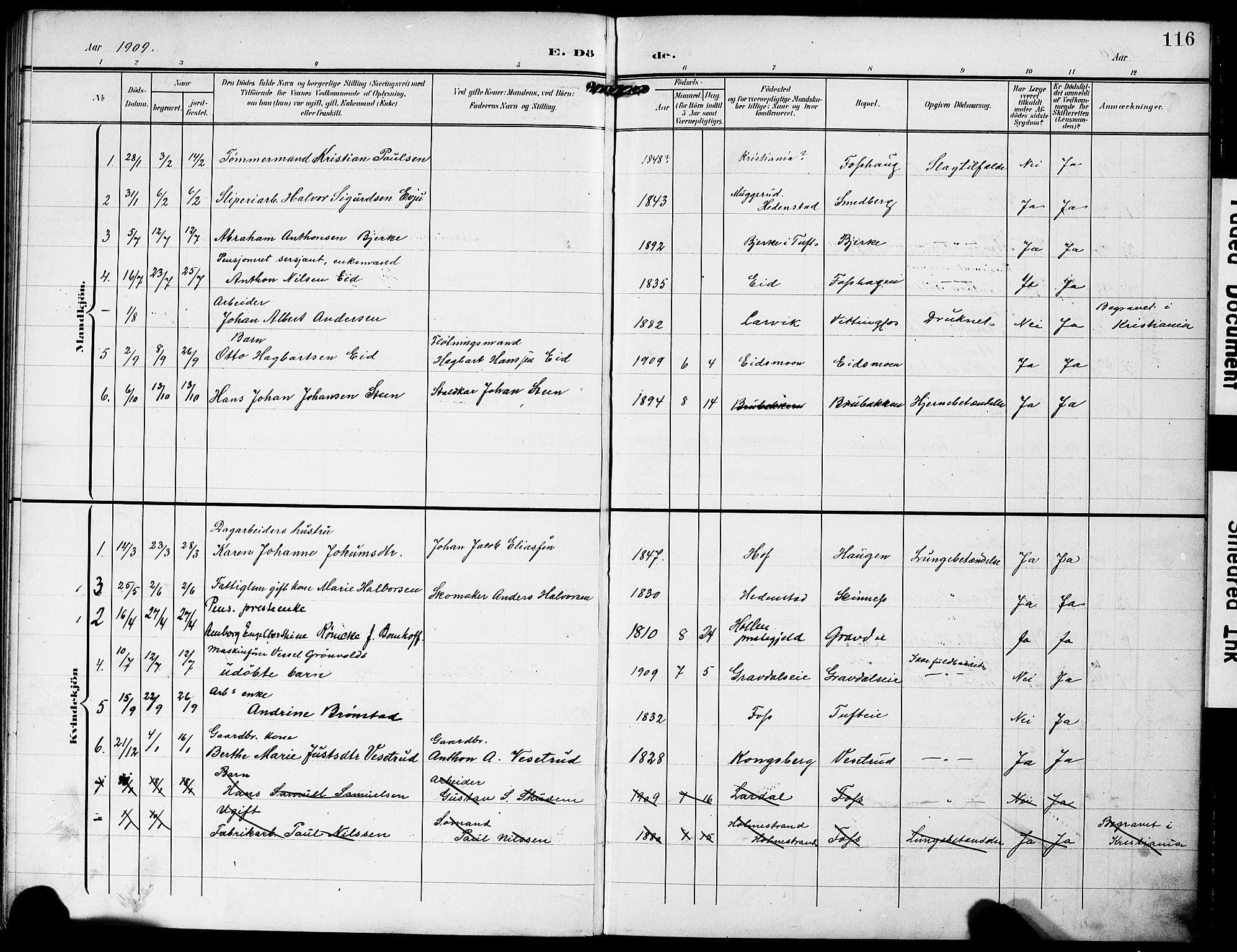 Sandsvær kirkebøker, AV/SAKO-A-244/G/Gc/L0001: Parish register (copy) no. III 1, 1878-1928, p. 116