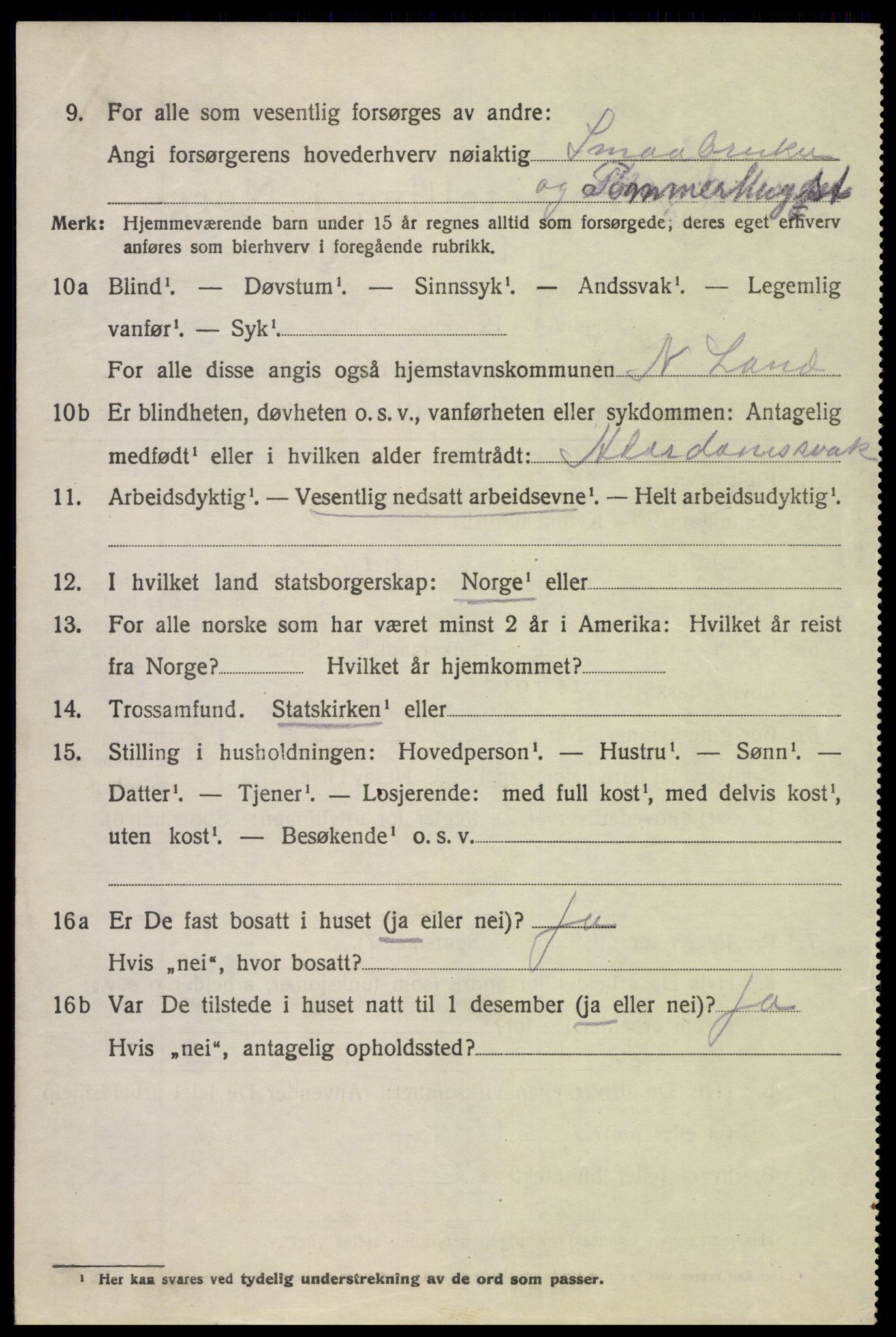 SAH, 1920 census for Nordre Land, 1920, p. 3853
