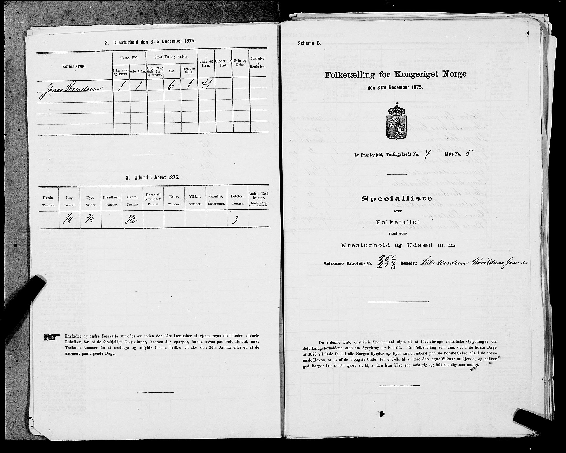 SAST, 1875 census for 1121P Lye, 1875, p. 480