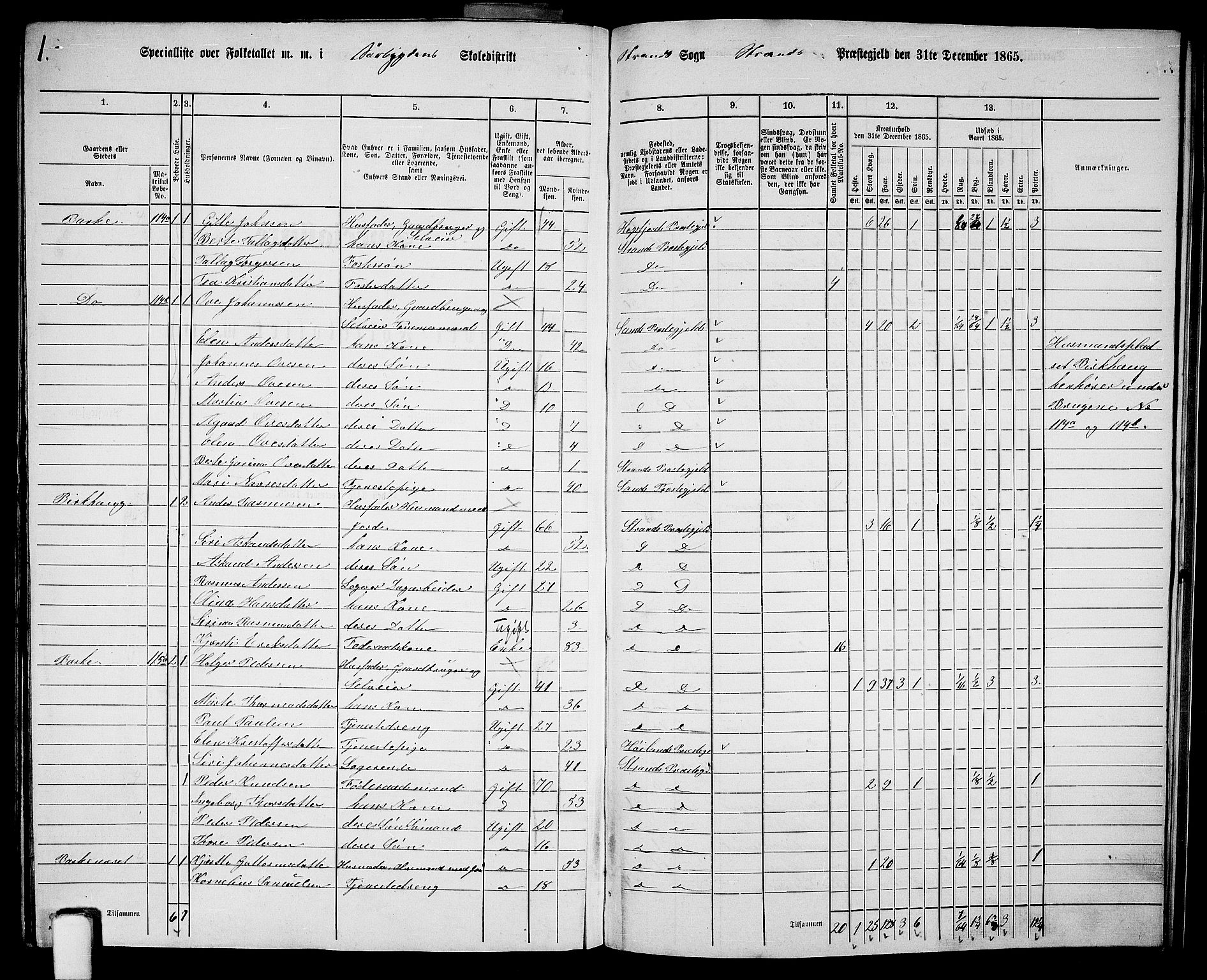 RA, 1865 census for Strand, 1865, p. 68