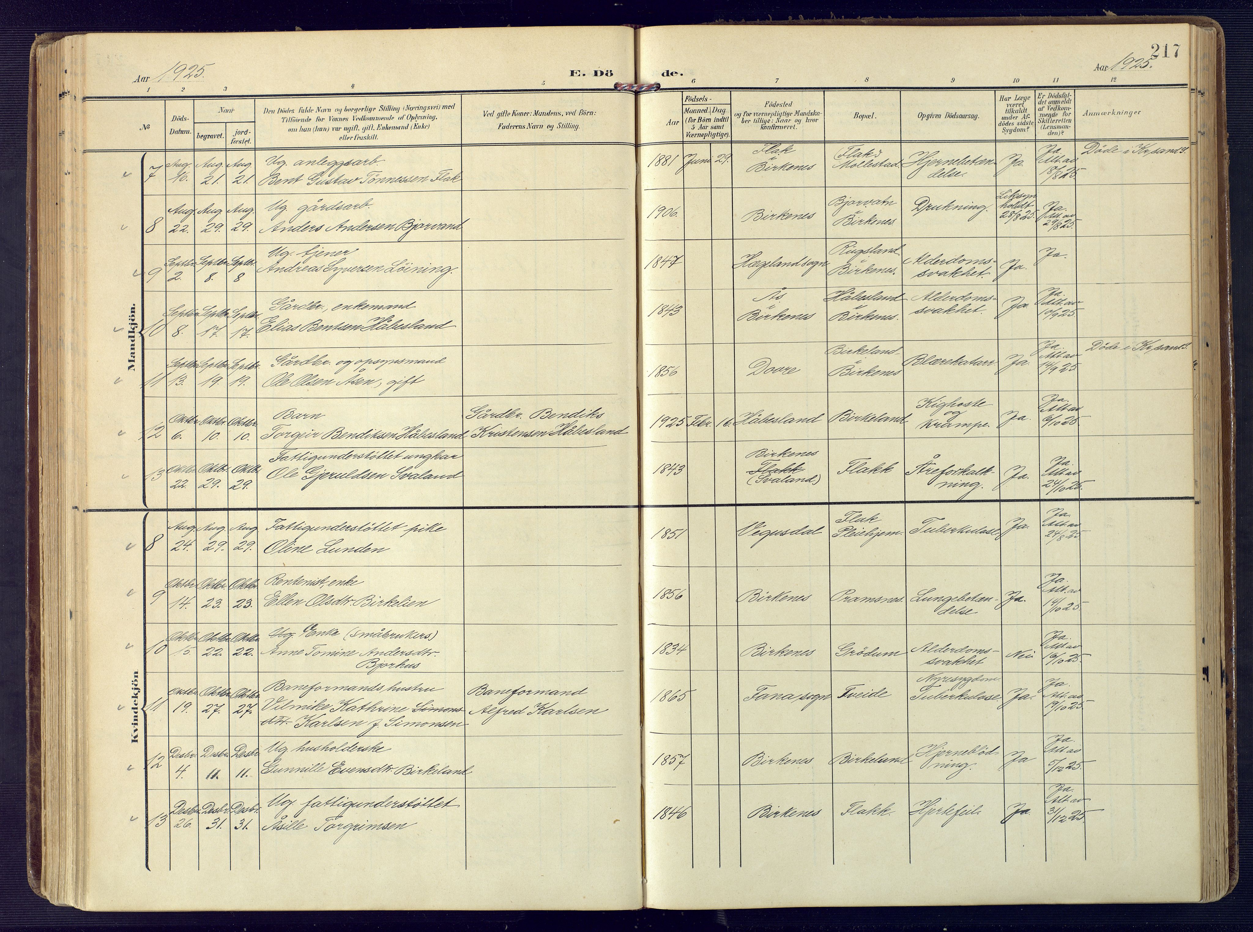 Birkenes sokneprestkontor, SAK/1111-0004/F/Fa/L0006: Parish register (official) no. A 6, 1908-1932, p. 217