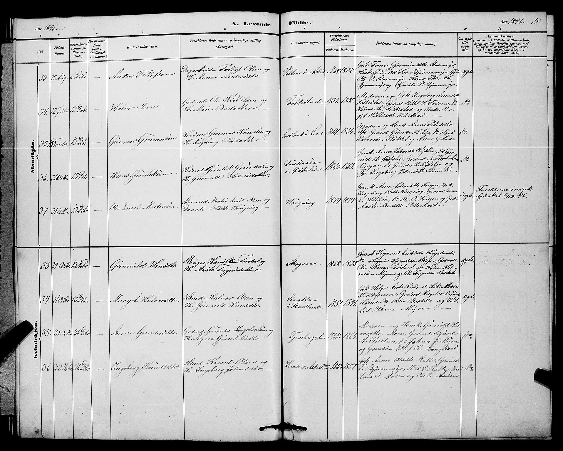 Bø kirkebøker, SAKO/A-257/G/Ga/L0005: Parish register (copy) no. 5, 1883-1897, p. 101