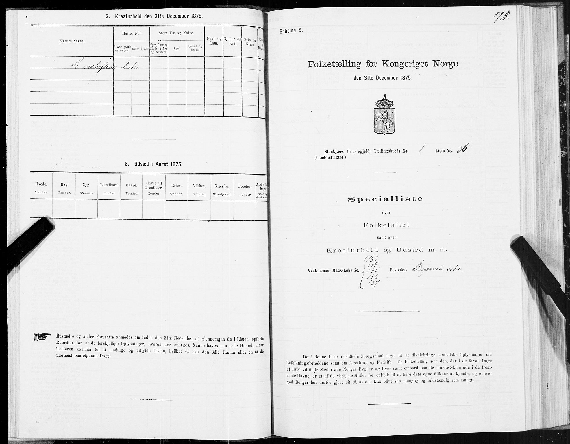 SAT, 1875 census for 1733L Steinkjer/Egge, 1875, p. 1073