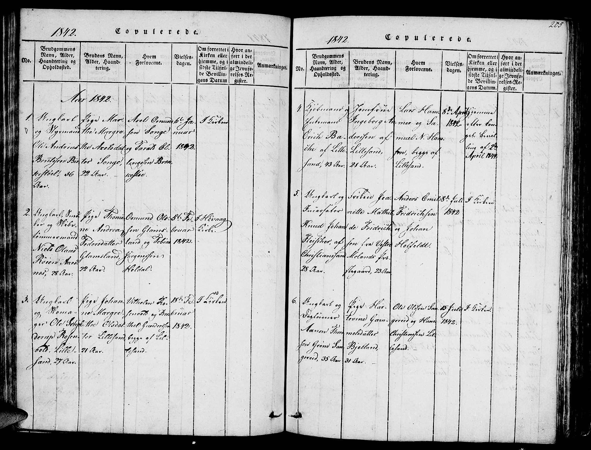 Vestre Moland sokneprestkontor, SAK/1111-0046/F/Fb/Fbb/L0001: Parish register (copy) no. B 1, 1816-1851, p. 205