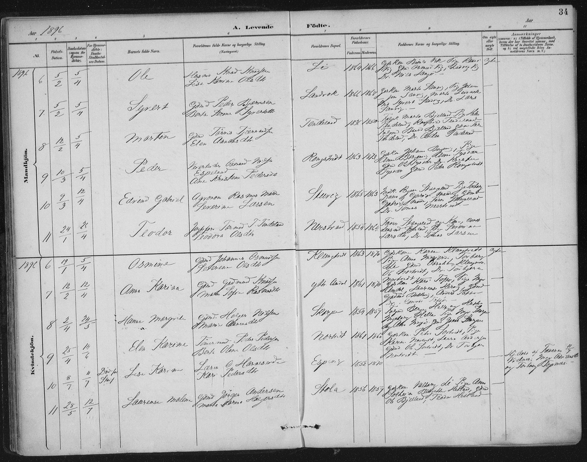 Nedstrand sokneprestkontor, AV/SAST-A-101841/01/IV: Parish register (official) no. A 12, 1887-1915, p. 34