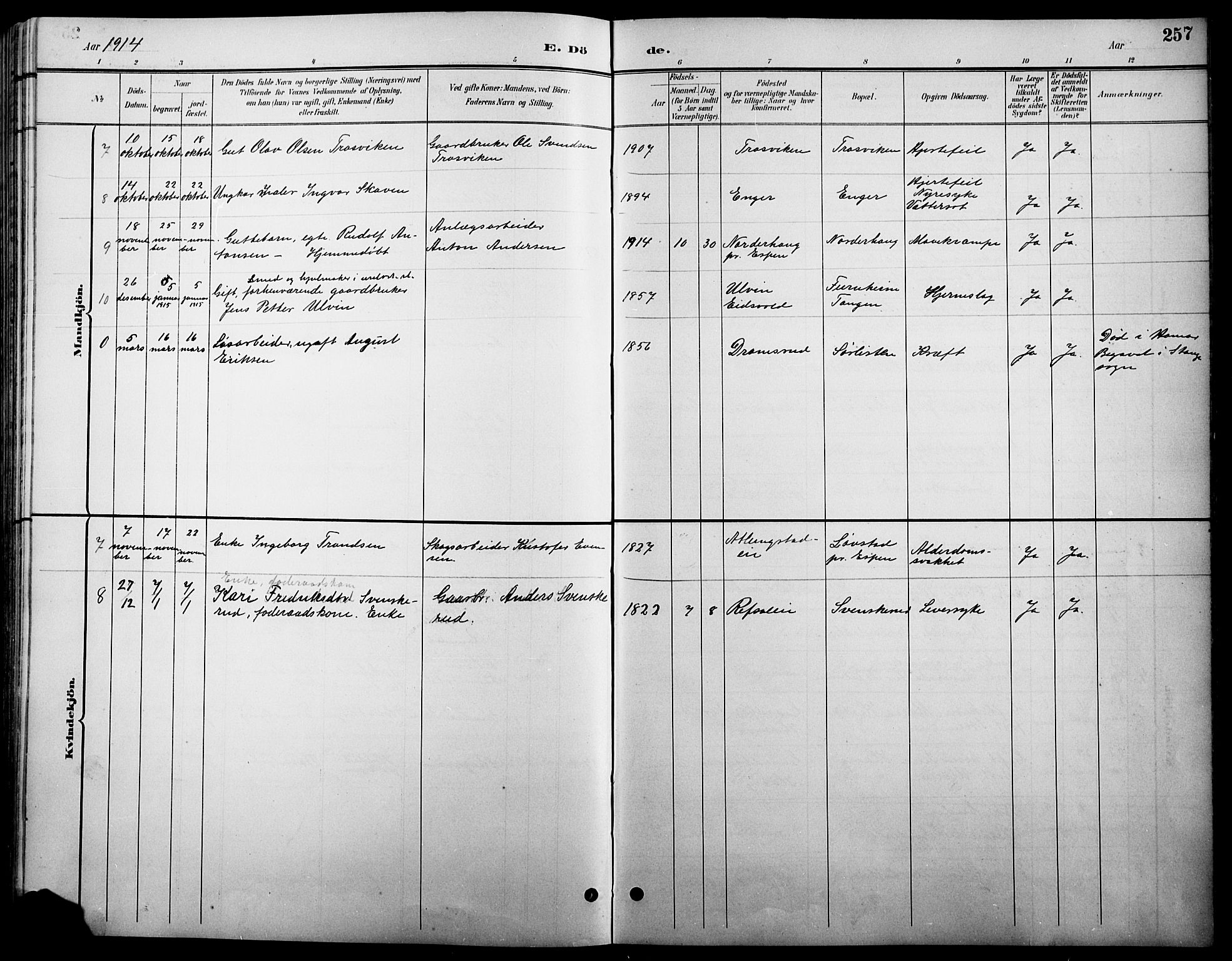 Stange prestekontor, SAH/PREST-002/L/L0011: Parish register (copy) no. 11, 1895-1917, p. 257
