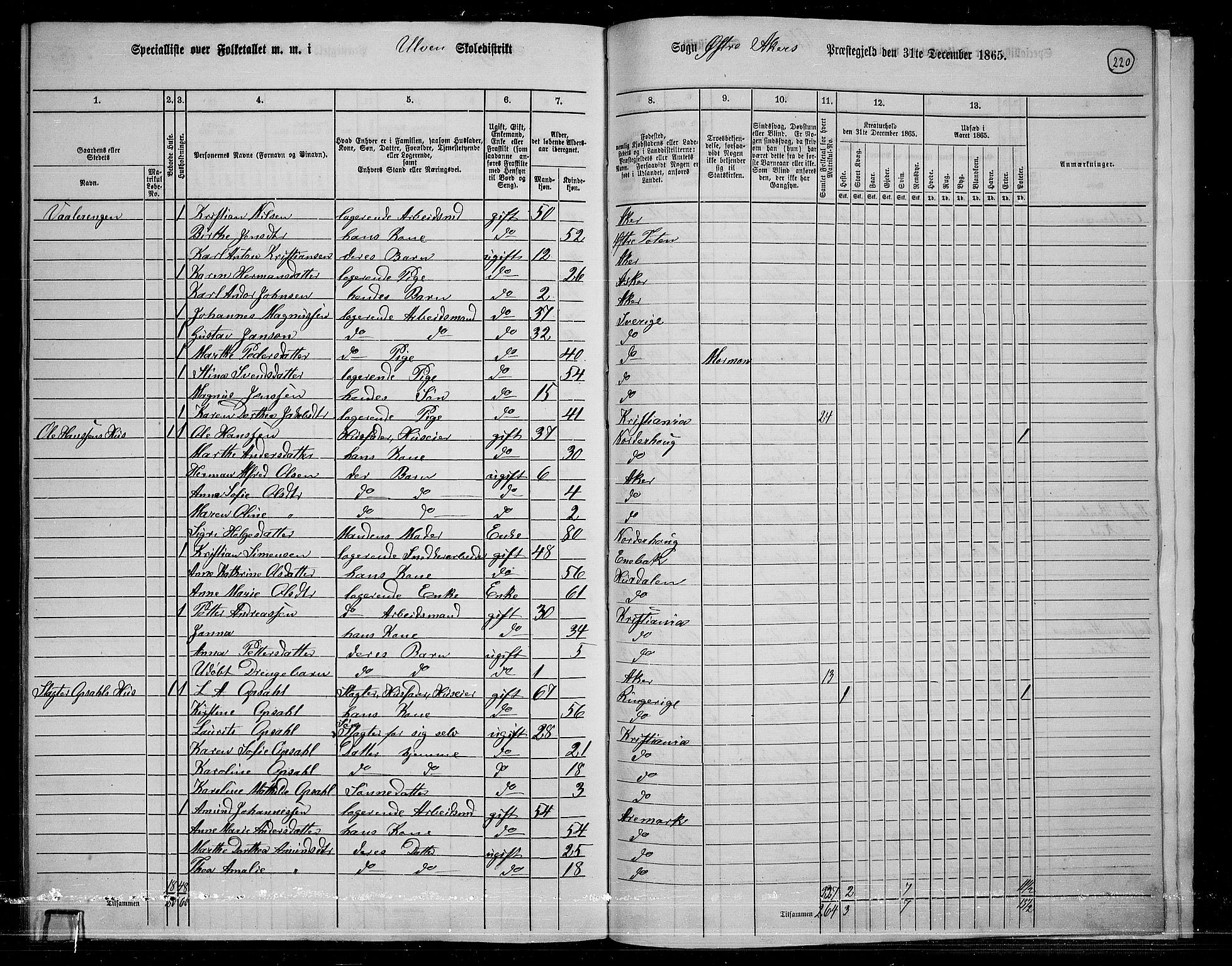 RA, 1865 census for Østre Aker, 1865, p. 206