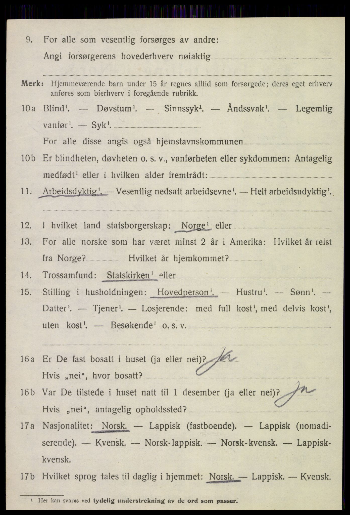 SAT, 1920 census for Stjørdal, 1920, p. 1295