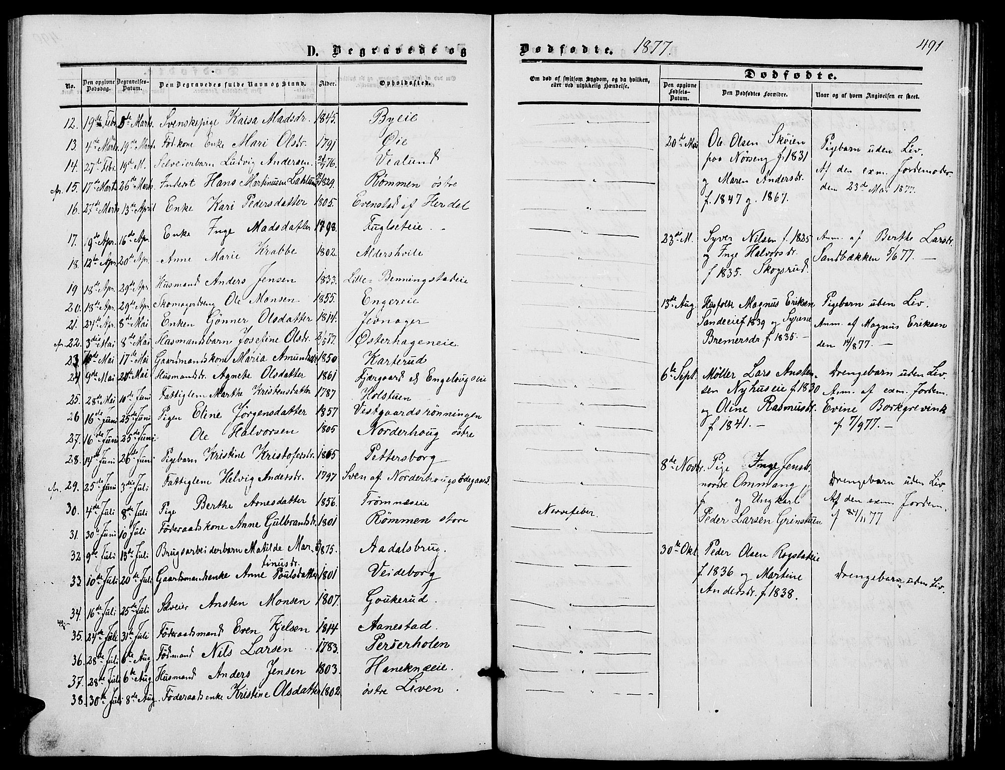 Løten prestekontor, SAH/PREST-022/L/La/L0004: Parish register (copy) no. 4, 1863-1877, p. 491