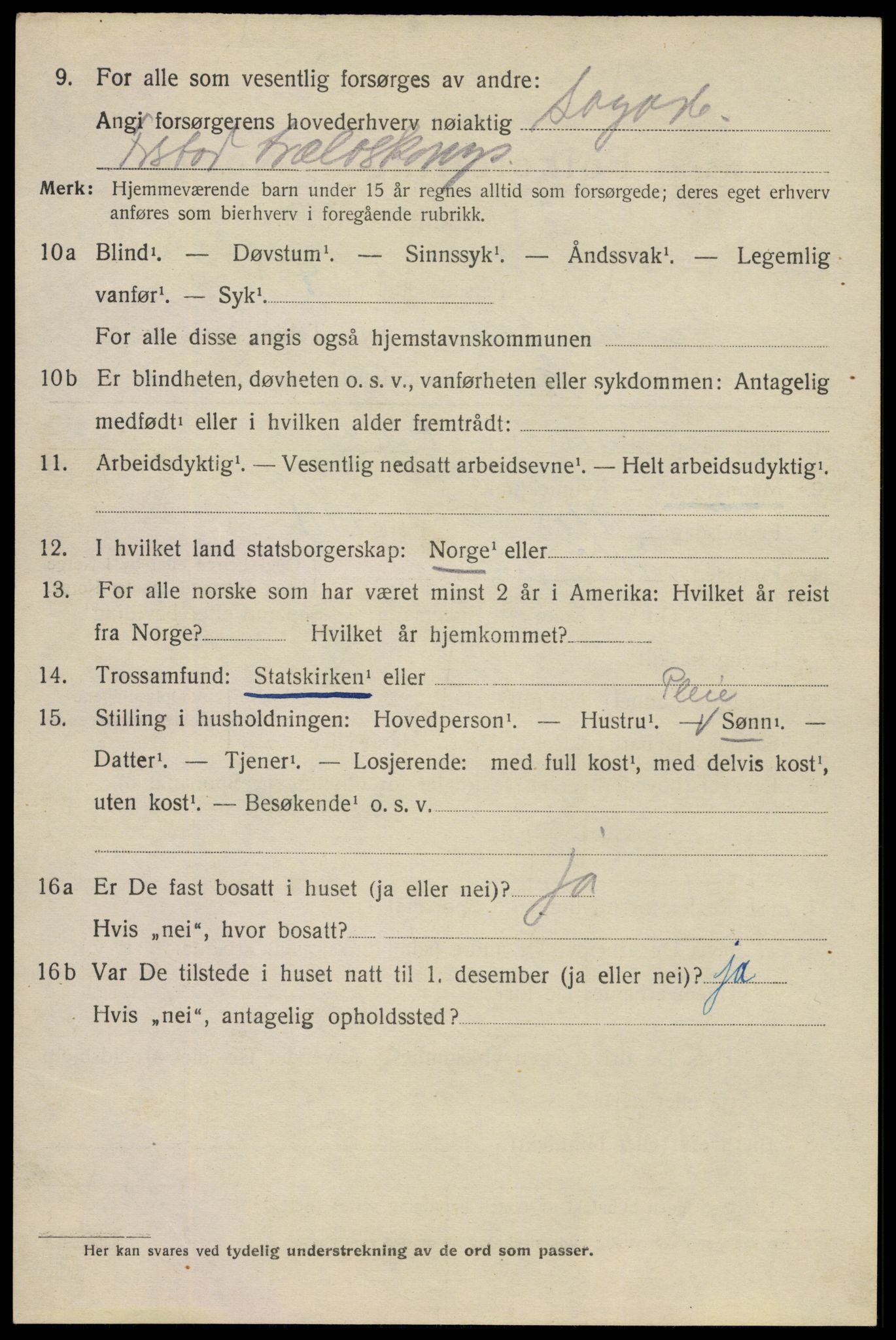 SAO, 1920 census for Fredrikstad, 1920, p. 17036