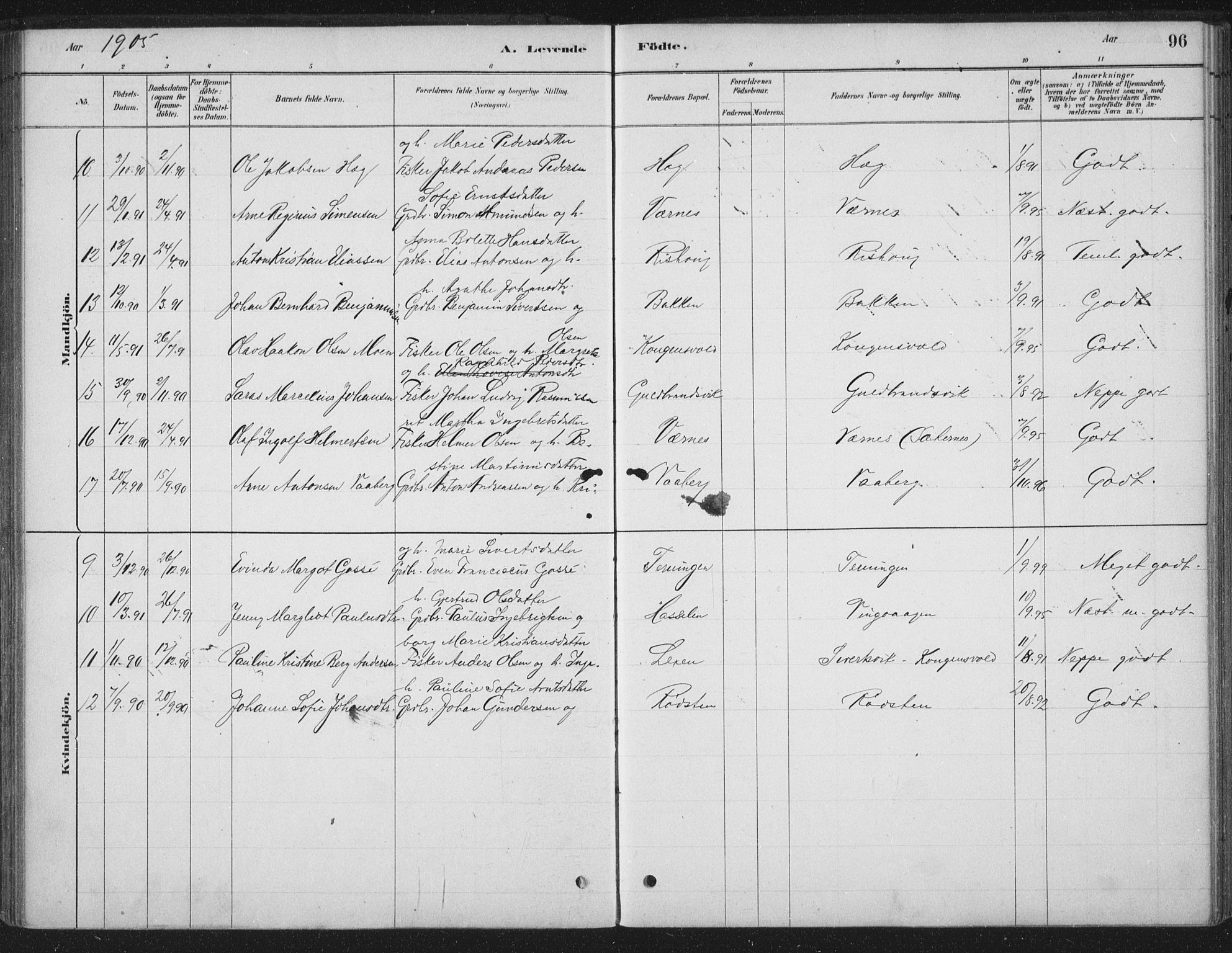 Ministerialprotokoller, klokkerbøker og fødselsregistre - Sør-Trøndelag, SAT/A-1456/662/L0755: Parish register (official) no. 662A01, 1879-1905, p. 96