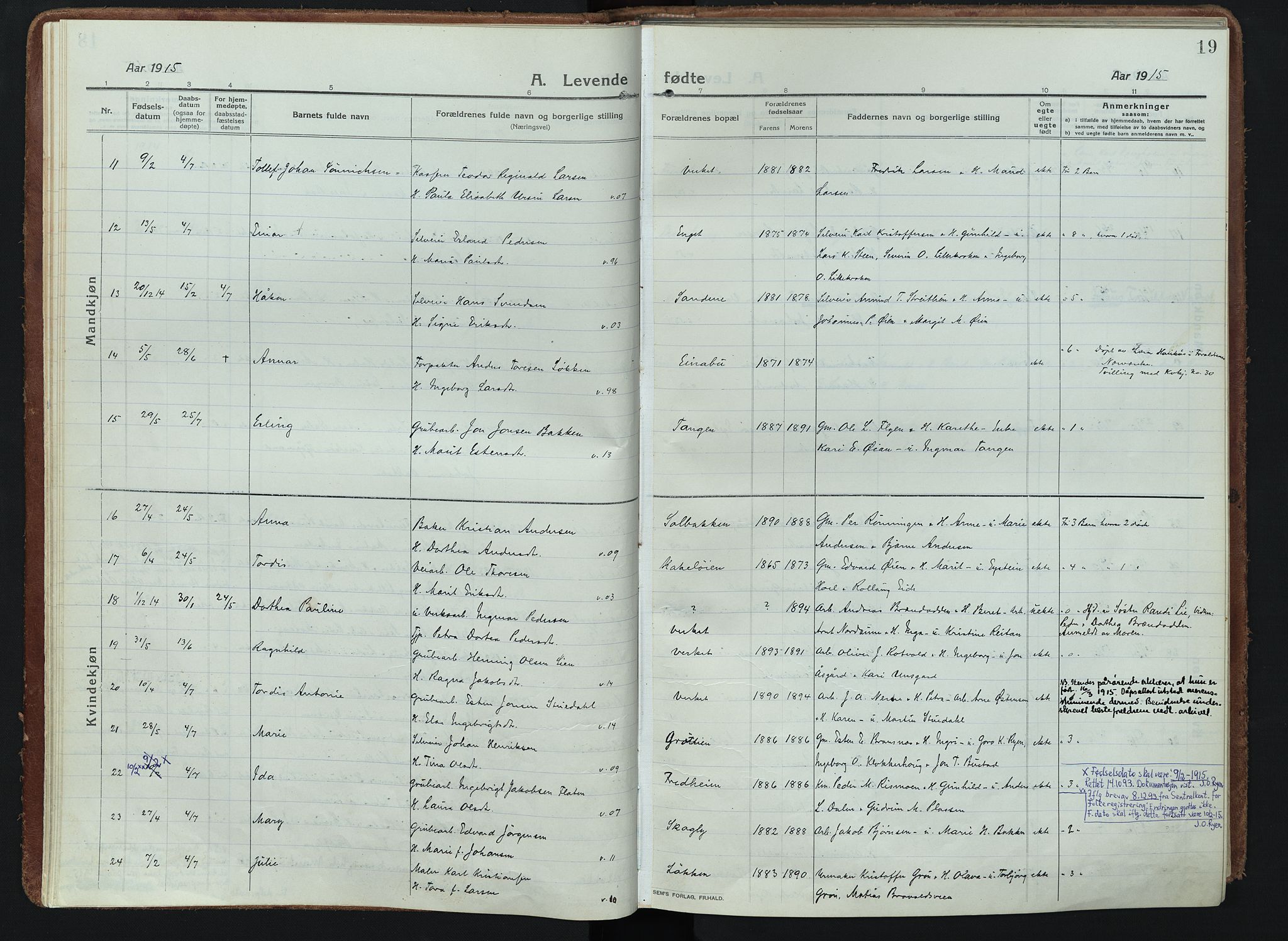 Alvdal prestekontor, AV/SAH-PREST-060/H/Ha/Haa/L0005: Parish register (official) no. 5, 1913-1930, p. 19