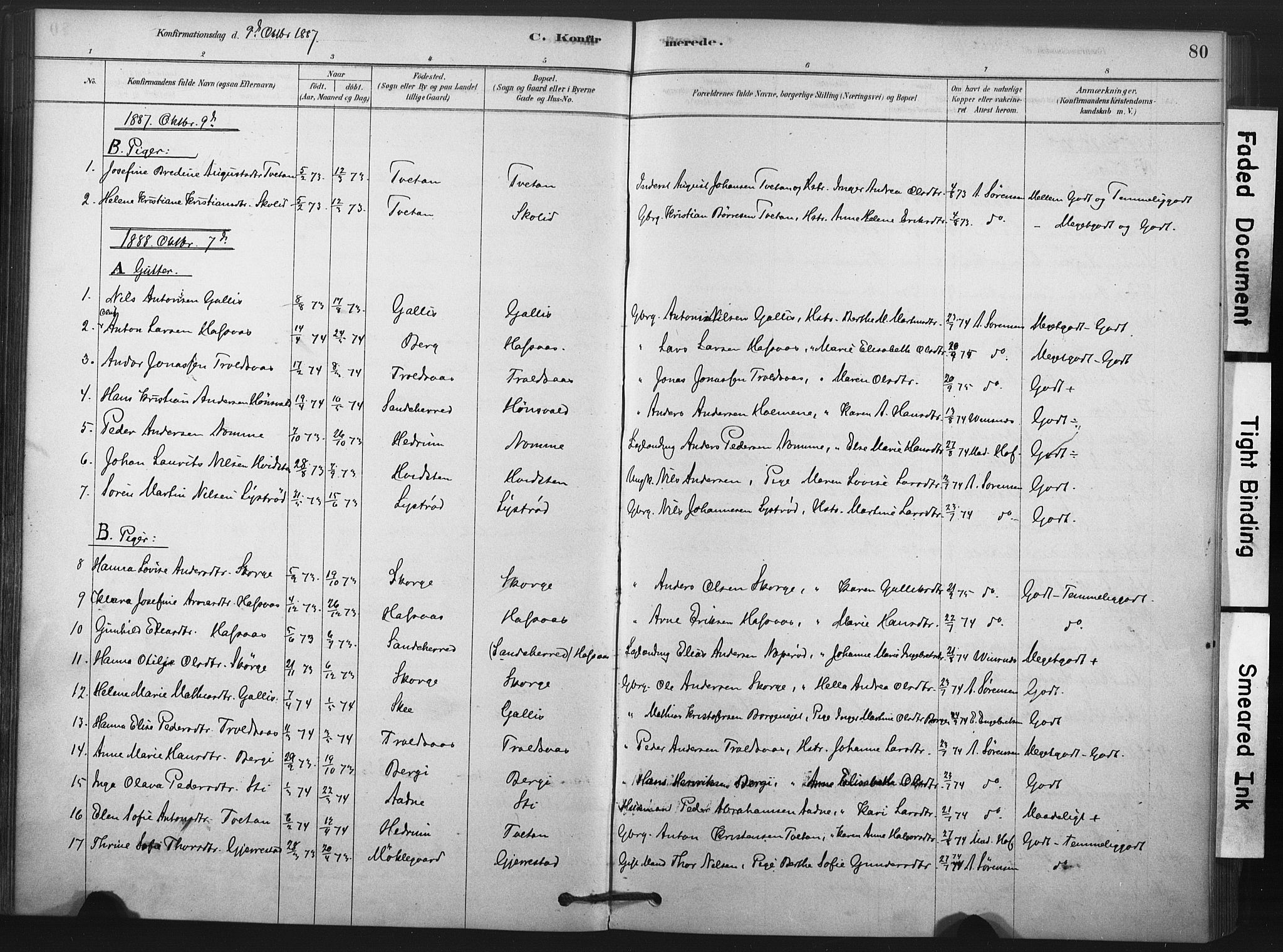 Andebu kirkebøker, AV/SAKO-A-336/F/Fa/L0008: Parish register (official) no. 8, 1878-1902, p. 80